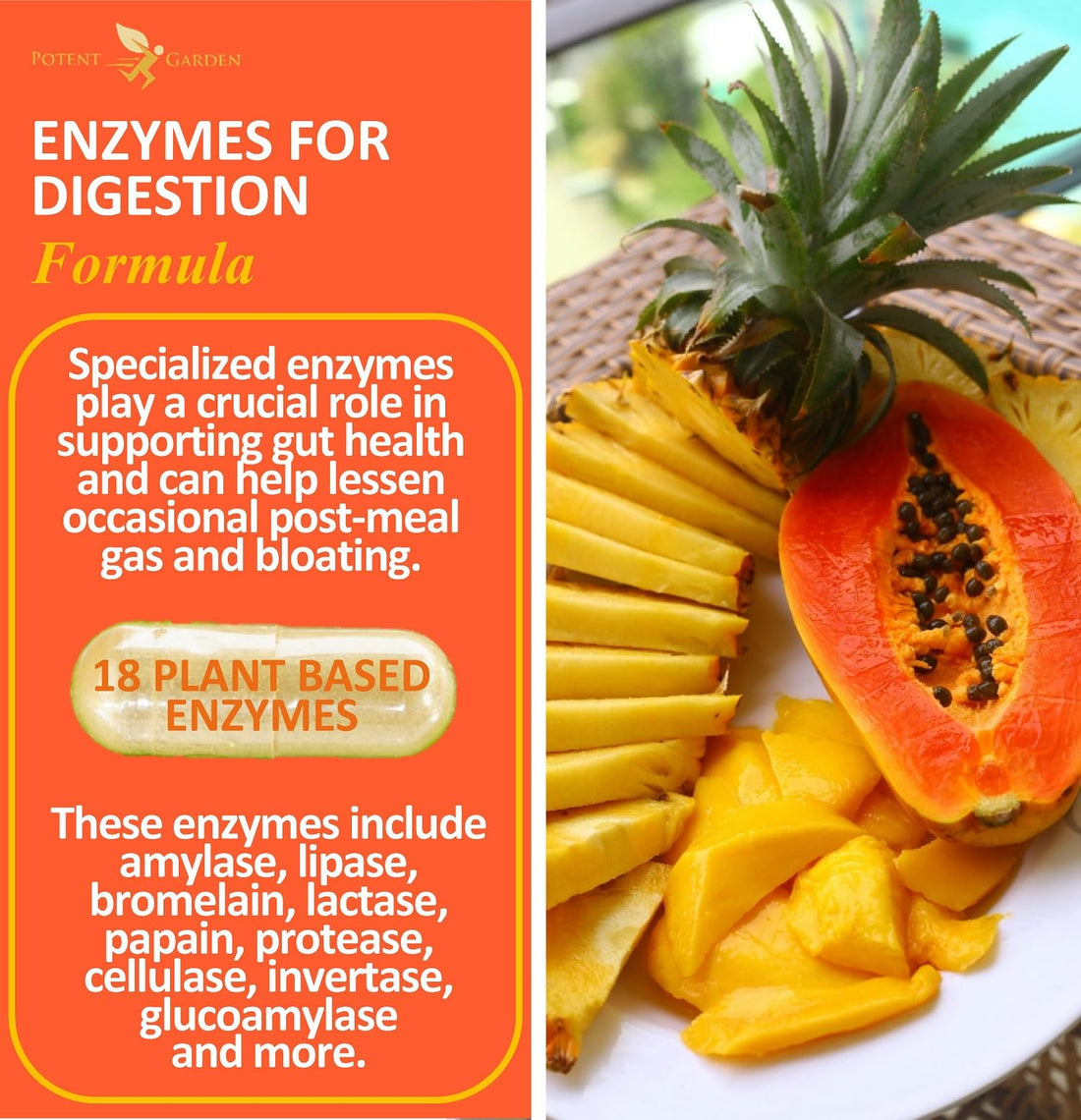 Potent Garden Digestive Enzymes -18 Plant Based Enzymes with amylase lipase bromelain Protease lactase & Other Enzymes - One Pre Meal Pill Supports Healthy - OzHealthStandard