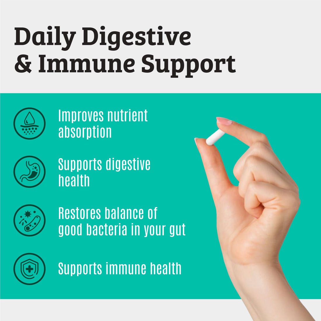 Prebiotics and Probiotics: Lactobacillus Gasseri, Lactobacillus Rhamnosus, Plantarum, Casei, Bifidobacterium longum, lactis, infantis. Probiotic Prebiotic, - OzHealthStandard