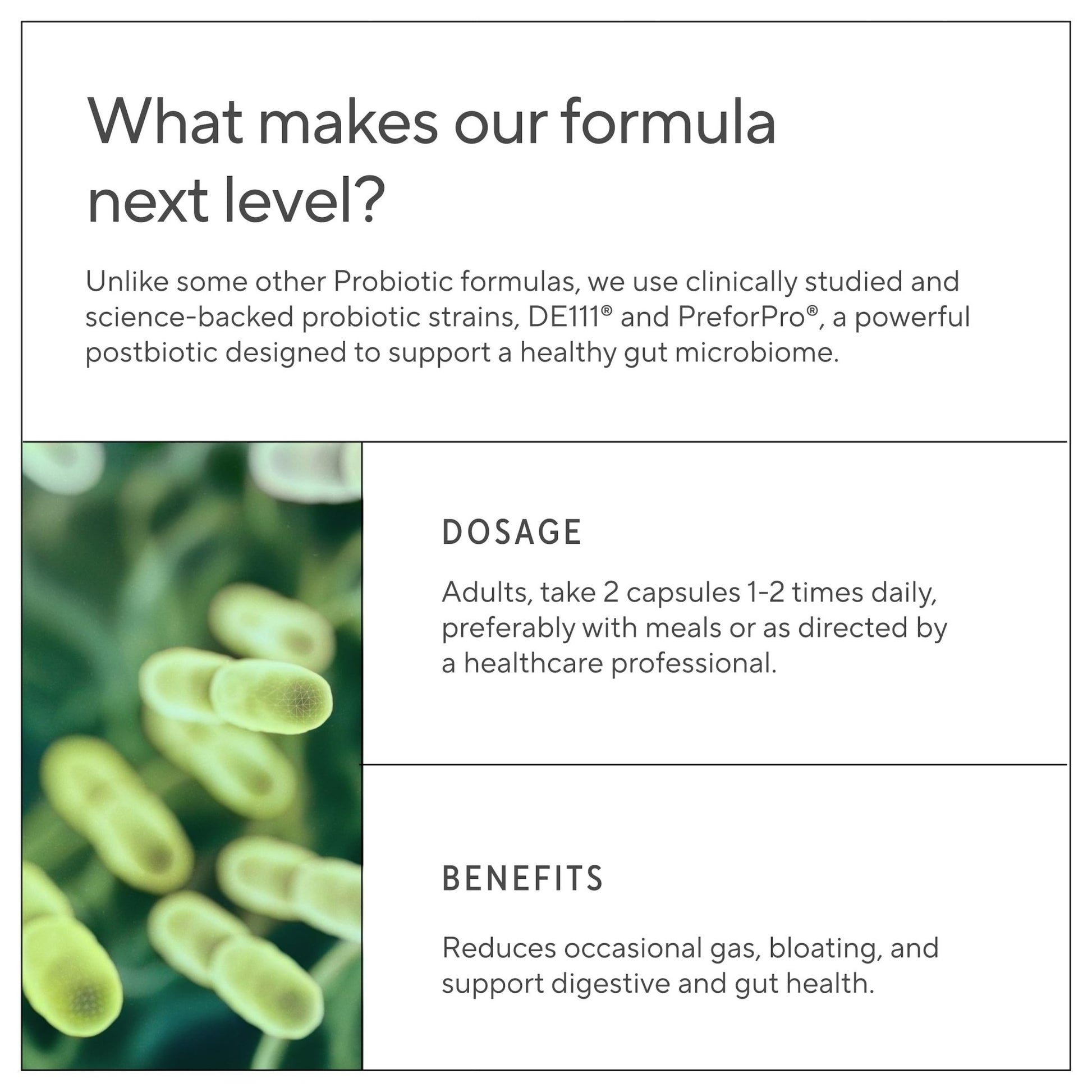 Premium 4-in-1 Probiotic Prebiotic, Postbiotic & Digestive Enzymes for Men & Women – Supports Gut, Digestion & Immunity –Complete Gut Health with Pre, Post - OzHealthStandard