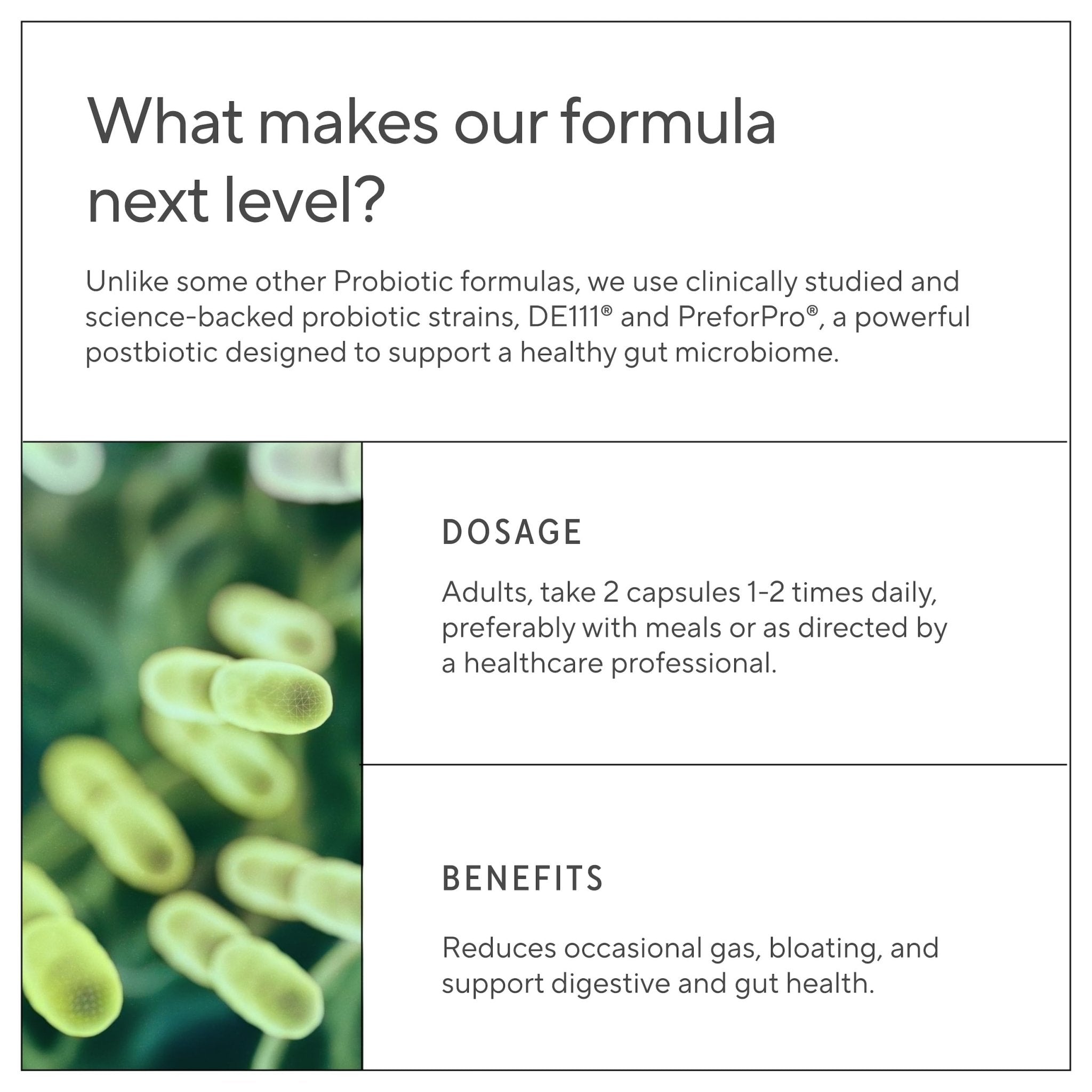 Premium 4-in-1 Probiotic Prebiotic, Postbiotic & Digestive Enzymes for Men & Women – Supports Gut, Digestion & Immunity –Complete Gut Health with Pre, Post - OzHealthStandard