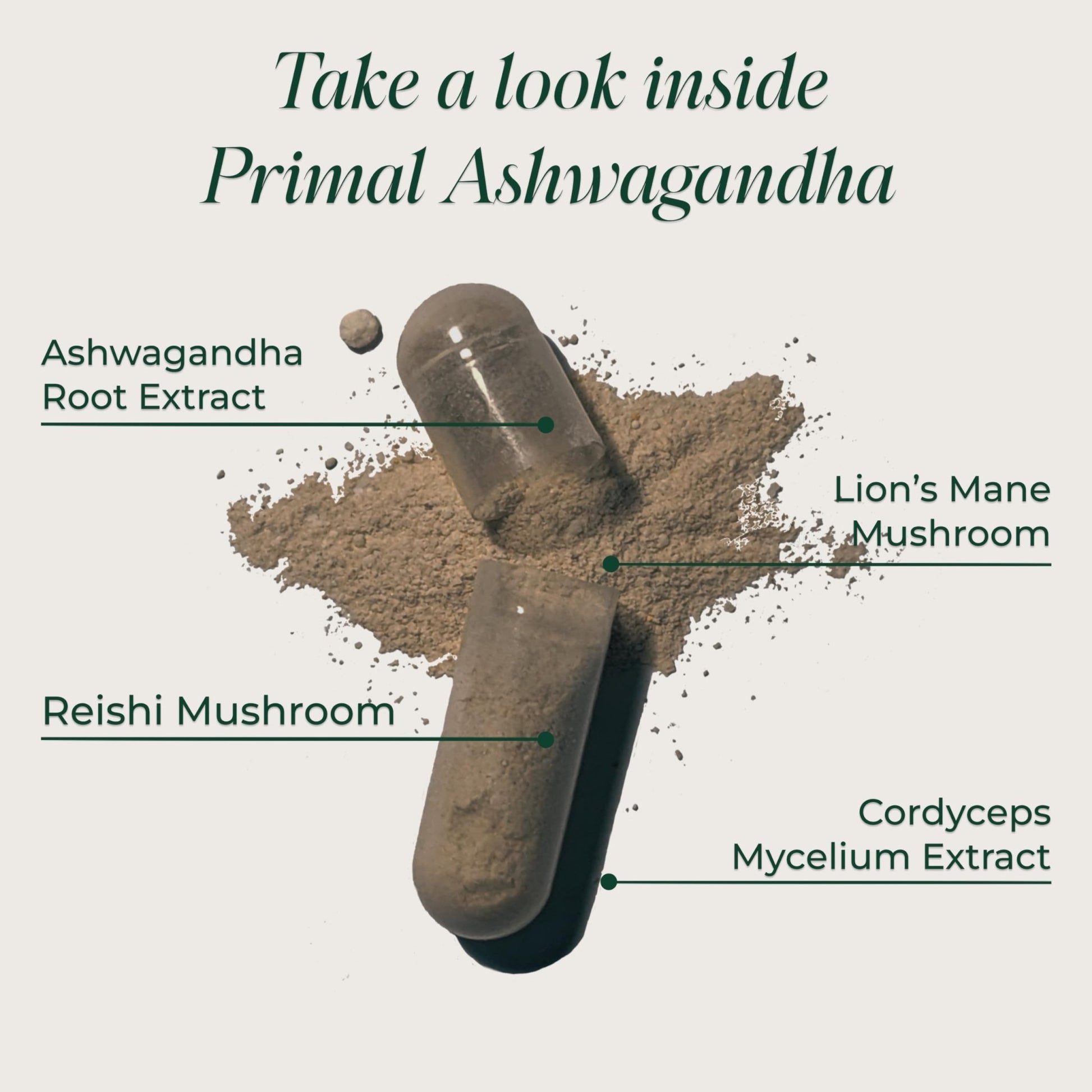Primal Harvest Ashwagandha Supplement with 5 Mushroom Extracts: Lion’s Mane, Reishi, Cordyceps, Turkey Tail & Maitake for Immune Support & Cognitive Health - OzHealthStandard