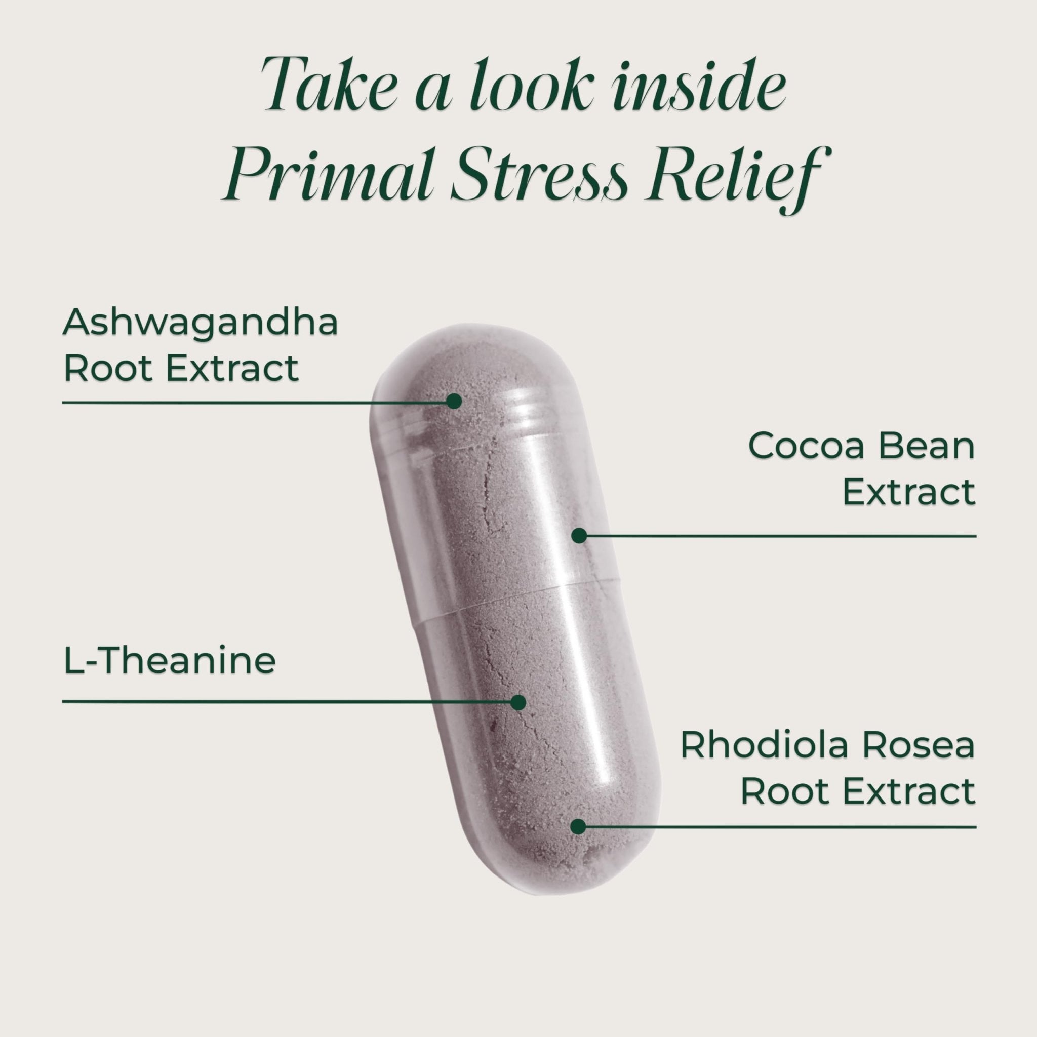 Primal Harvest Stress Relief Supplement for Women and Men Pure Ashwagandha Root Extract, L-Theanine Supplements, 30 Capsules - OzHealthStandard