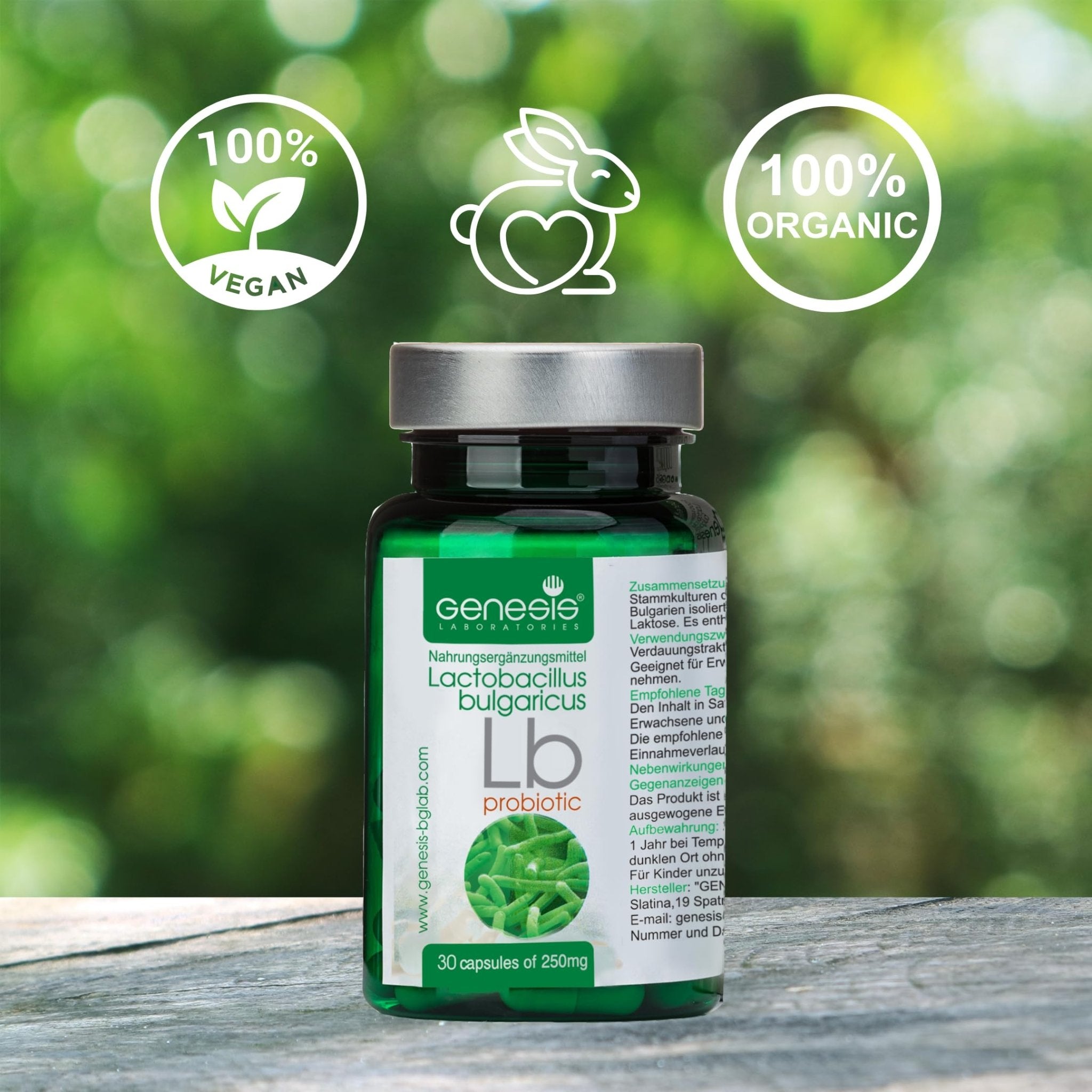 Probiotic Lactobacillus Supplement 30 Capsules with Lactobacillus Bulgaricus 250 mg Probiotic Digestive Immune Support Gut Health Probiotics for Digestive Health Anti Bloating - OzHealthStandard