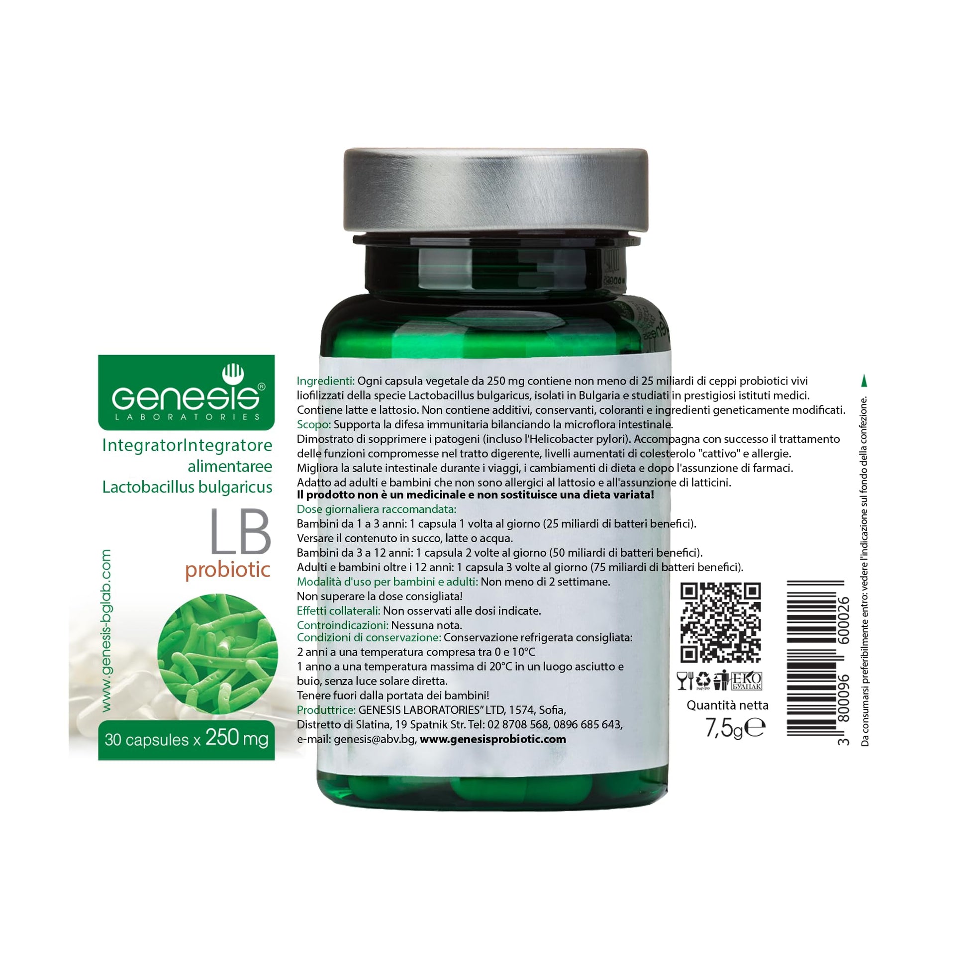 Probiotic Lactobacillus Supplement 30 Capsules with Lactobacillus Bulgaricus 250 mg Probiotic Digestive Immune Support Gut Health Probiotics for Digestive Health Anti Bloating - OzHealthStandard