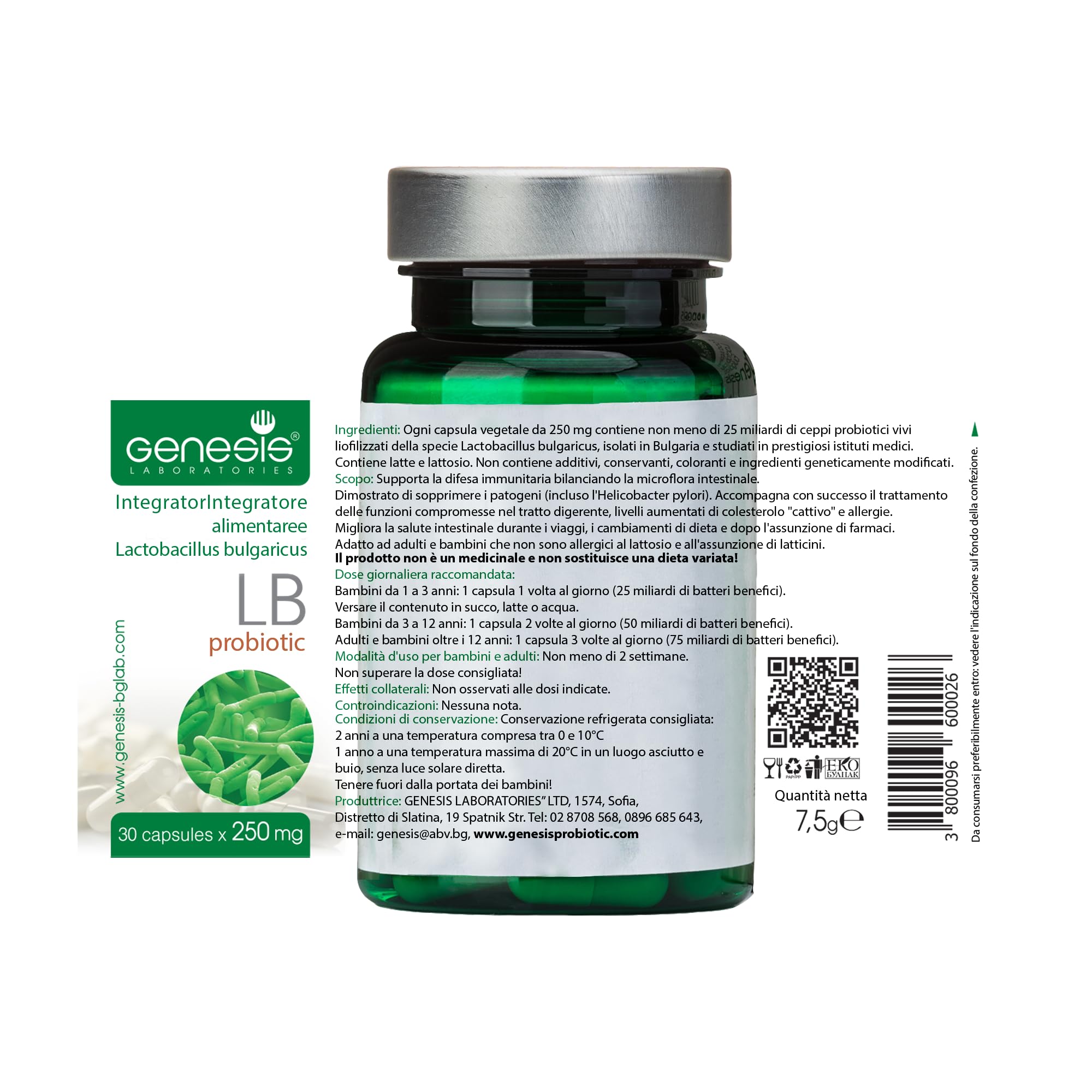 Probiotic Lactobacillus Supplement 30 Capsules with Lactobacillus Bulgaricus 250 mg Probiotic Digestive Immune Support Gut Health Probiotics for Digestive Health Anti Bloating - OzHealthStandard