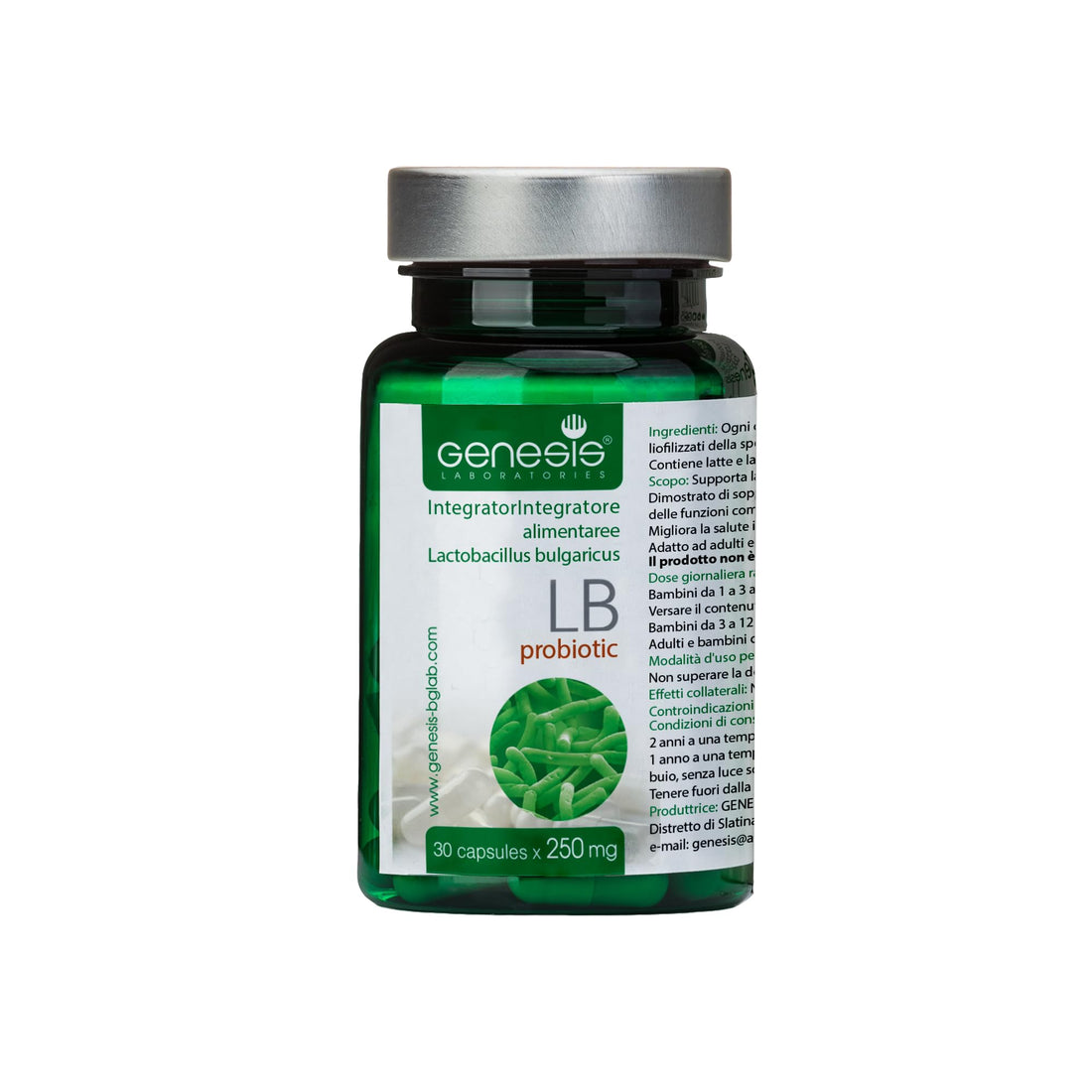 Probiotic Lactobacillus Supplement 30 Capsules with Lactobacillus Bulgaricus 250 mg Probiotic Digestive Immune Support Gut Health Probiotics for Digestive Health Anti Bloating - OzHealthStandard