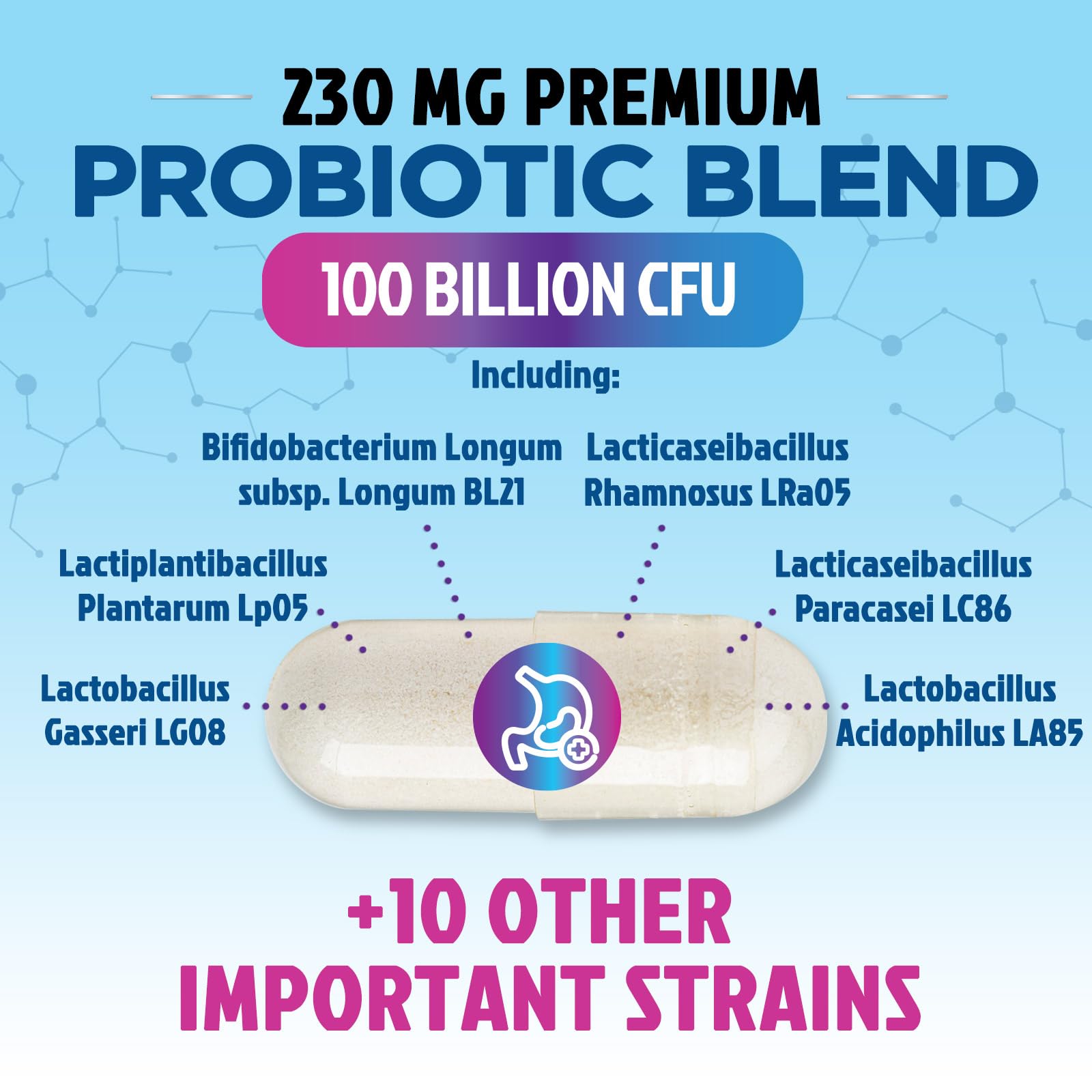 Probiotics 100 Billion CFU - 16 Premium Strains + Prebiotics - Best Probiotics for Women & Men - Supports Immune, Digestive & Gut Health, Supports Occasional Constipation, Gas & Bloating - 30 Capsules - OzHealthStandard