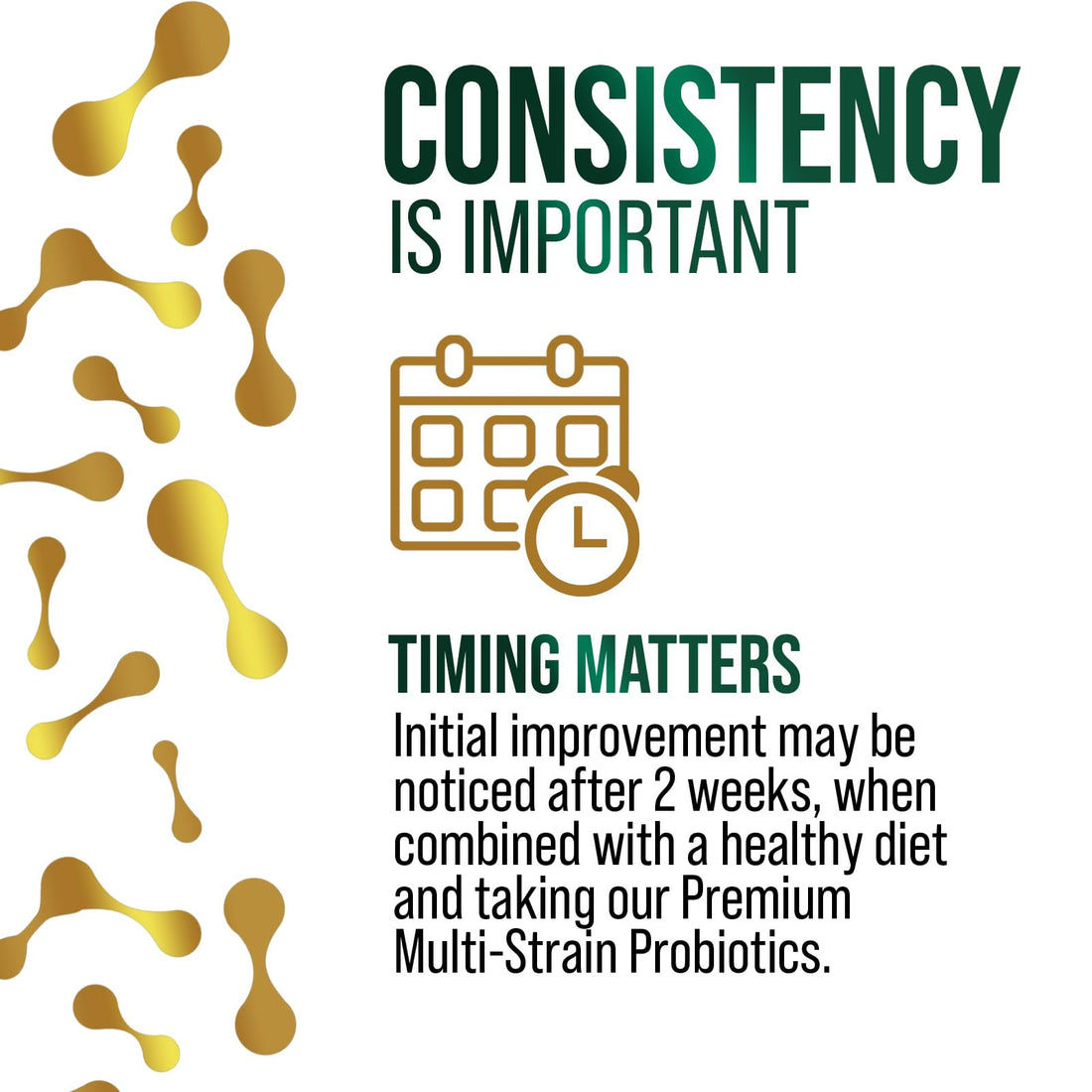 Probiotics 100 Billion CFU Per Serving - 16 Premium Probiotic Strains Prebiotics - Immune Support, Gut Health, Occasional Constipation, Gas & Bloating, Probiotics Supplement, USA Bottled, 60 Capsules - OzHealthStandard