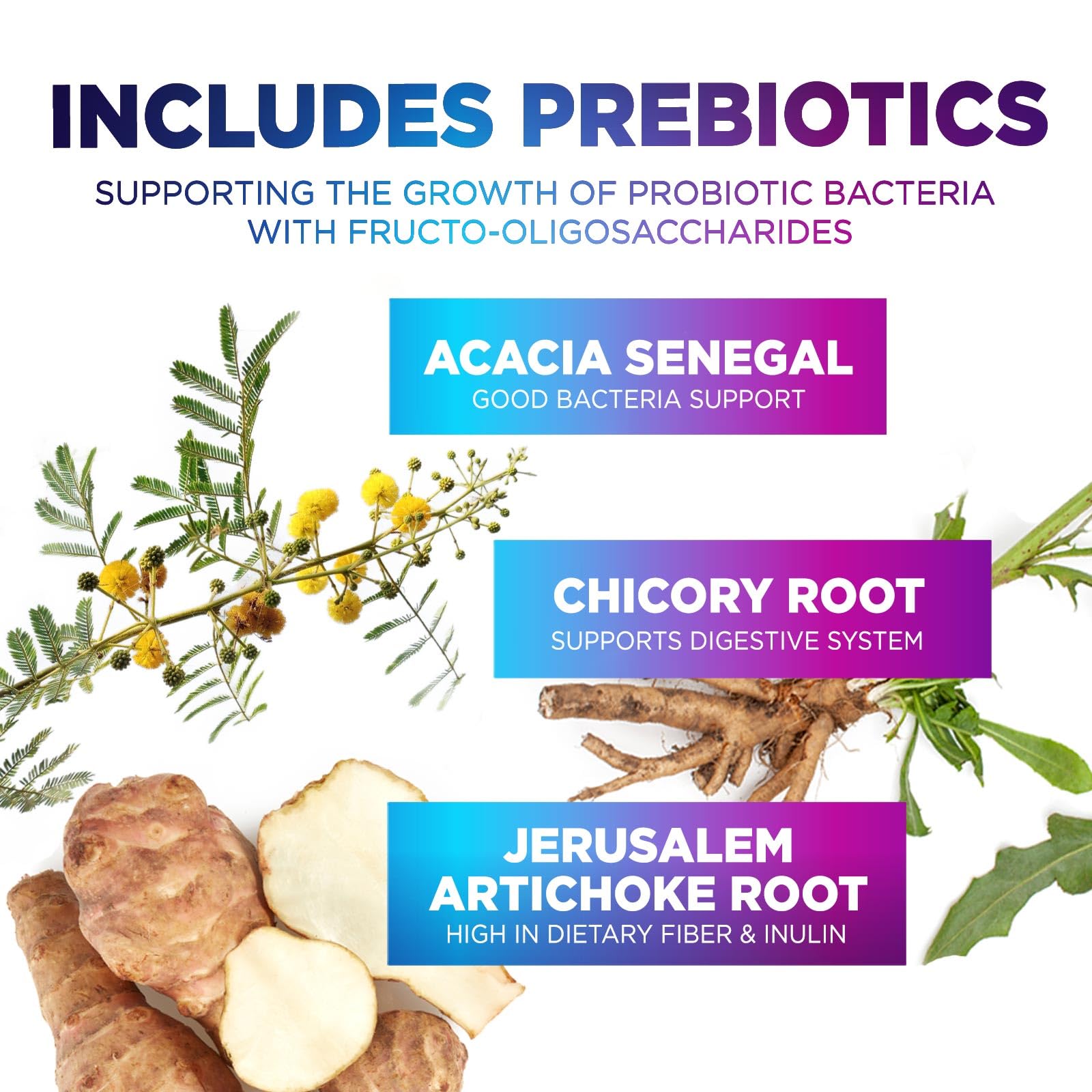 Probiotics 60 Billion CFU - 10 Strains + Digestive Enzymes & Prebiotics - Best Probiotic for Women & Men, Supports Immune, Gut Health, Occasional Constipation, Diarrhea, Gas & Bloating - 60 Capsules - OzHealthStandard