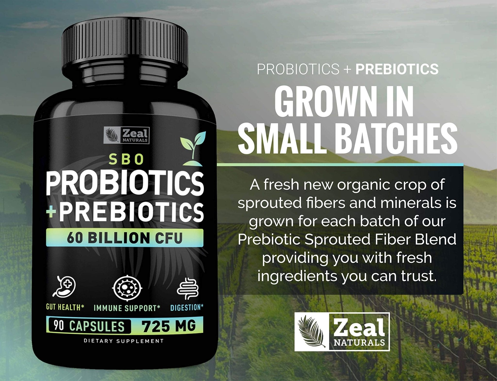 Probiotics and Prebiotics + SBO Probiotics (60 Billion CFU | 90 Capsules) Acidophilus Probiotic w. Saccharomyces Boulardii, Bifidobacterium + Spore Probiotic & Organic Sprouted Prebiotic Fiber Blend - OzHealthStandard