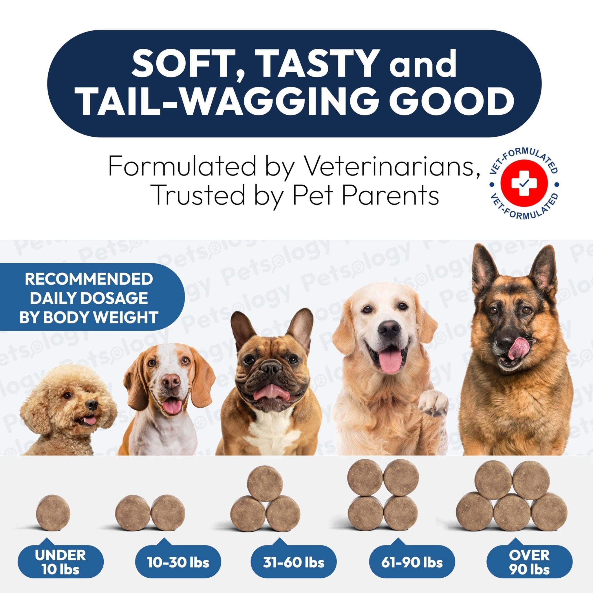 Probiotics for Dogs - 170 Dog Probiotics Chews - Digestive Enzymes & Prebiotics - Support Gut Health, Diarrhea, Gas & Constipation Relief - Itchy Skin, Allergies, Yeast Balance - Advanced Supplement - OzHealthStandard