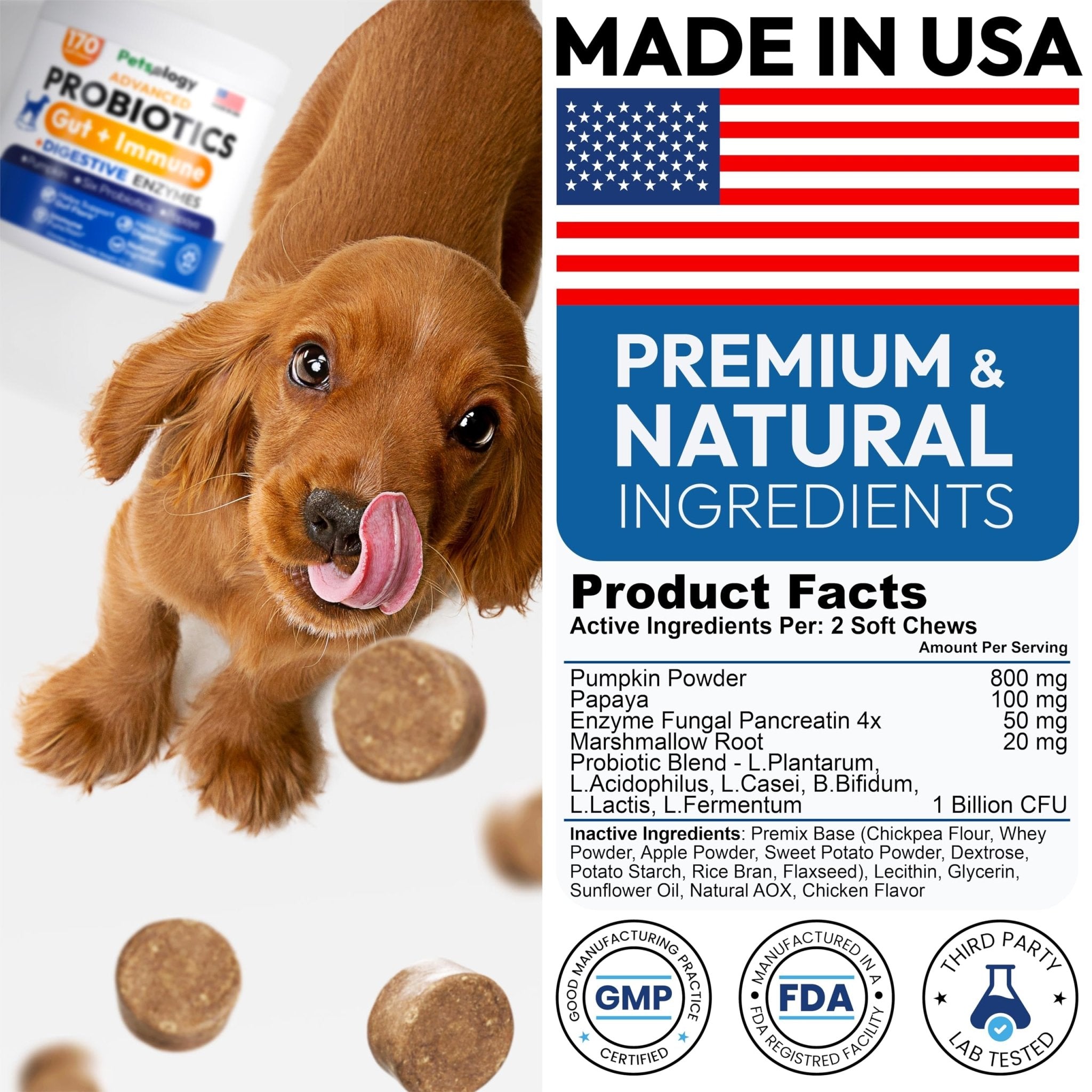 Probiotics for Dogs - 170 Dog Probiotics Chews - Digestive Enzymes & Prebiotics - Support Gut Health, Diarrhea, Gas & Constipation Relief - Itchy Skin, Allergies, Yeast Balance - Advanced Supplement - OzHealthStandard