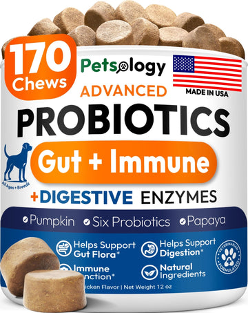 Probiotics for Dogs - 170 Dog Probiotics Chews - Digestive Enzymes & Prebiotics - Support Gut Health, Diarrhea, Gas & Constipation Relief - Itchy Skin, Allergies, Yeast Balance - Advanced Supplement - OzHealthStandard