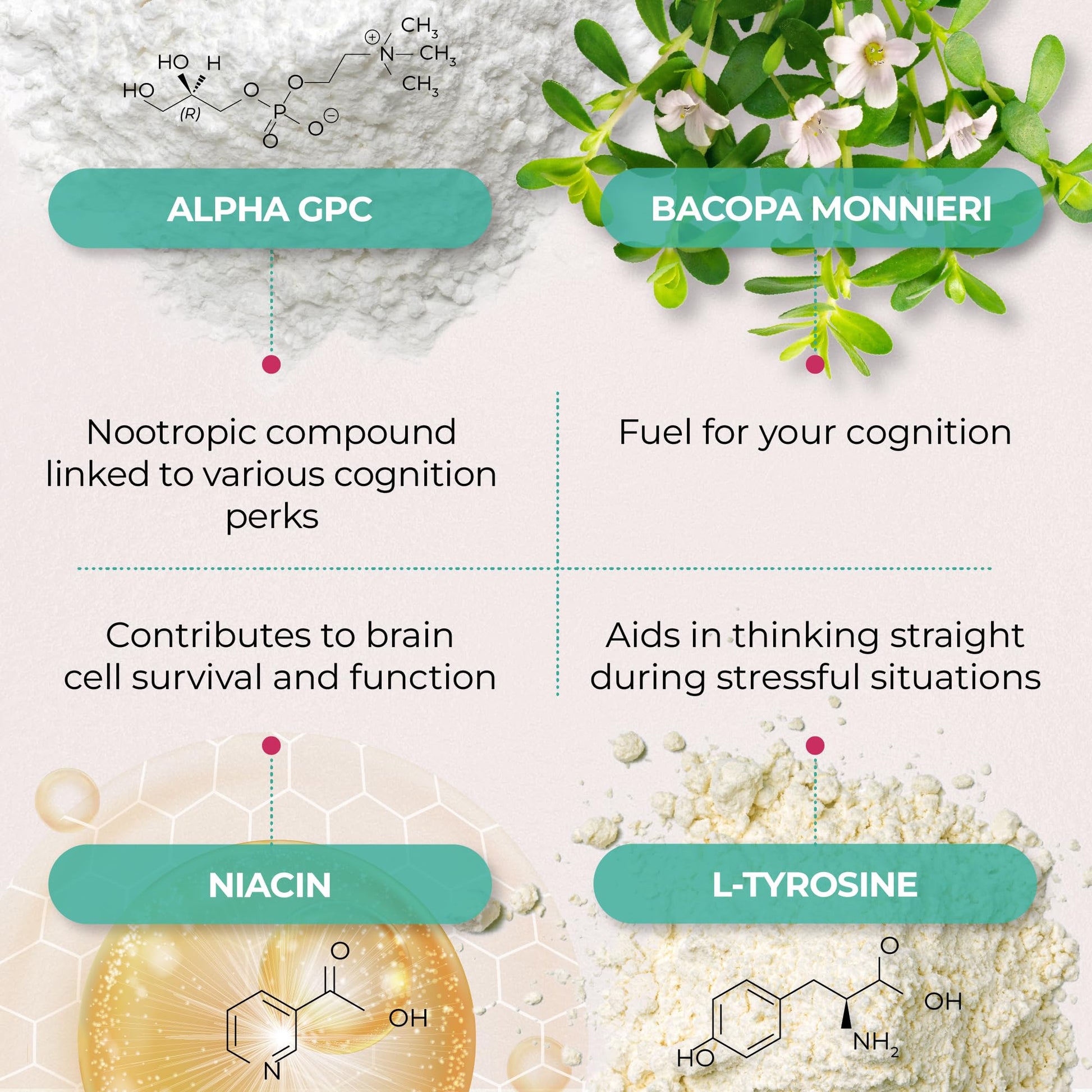 PUREHEALTH RESEARCH Ageless Brain Supplements for Memory and Focus - Nootropic Brain Health Supplement for Adults - with Bacopa Monieri, Alpha GPC, L-Tyrosine, Vitamin B6, Niacin & More, 60 Capsules - OzHealthStandard