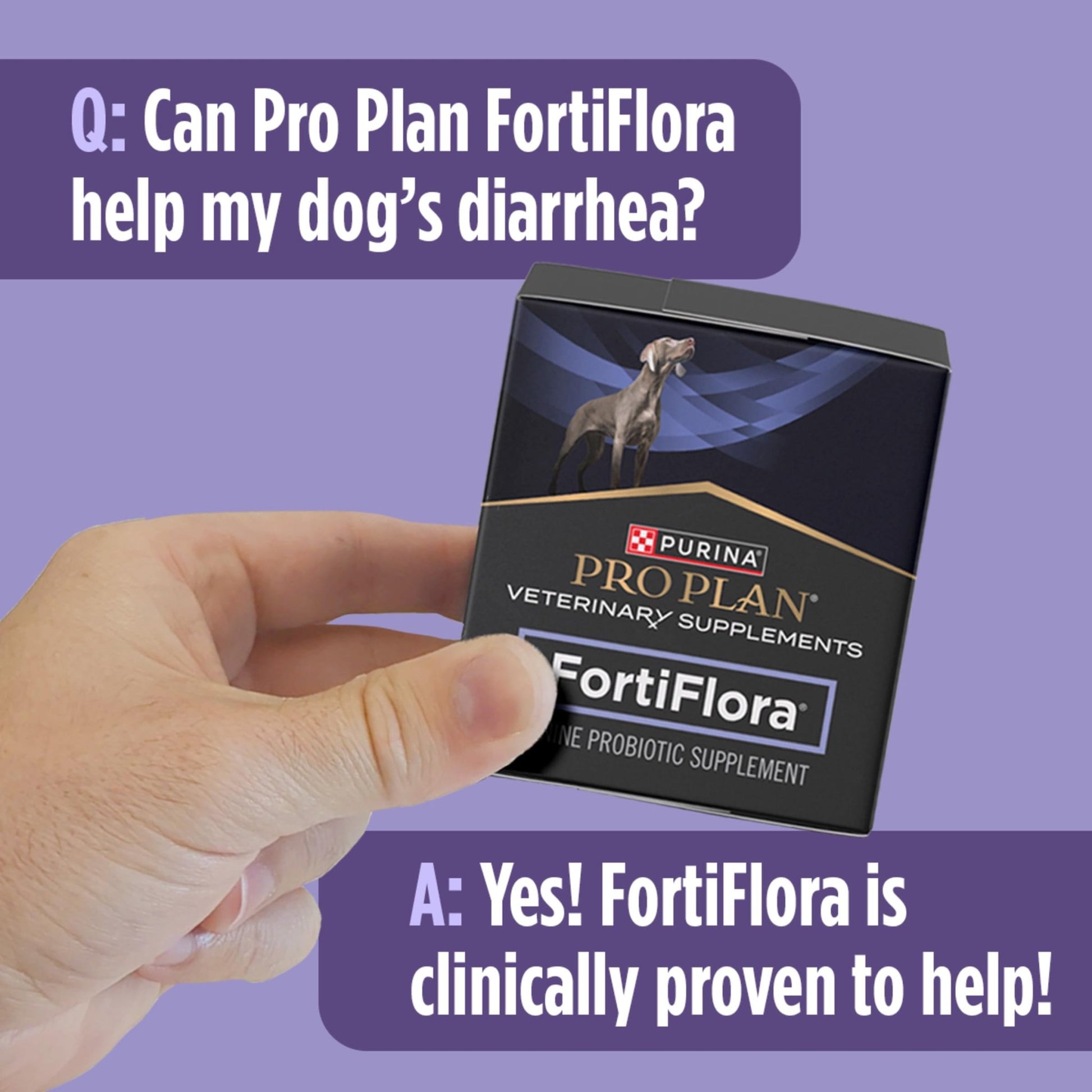 Purina Pro Plan Veterinary Supplements FortiFlora Daily Probiotics for Dogs, Helps Digestive Gut Health and Diarrhea - 30 ct. Box - OzHealthStandard
