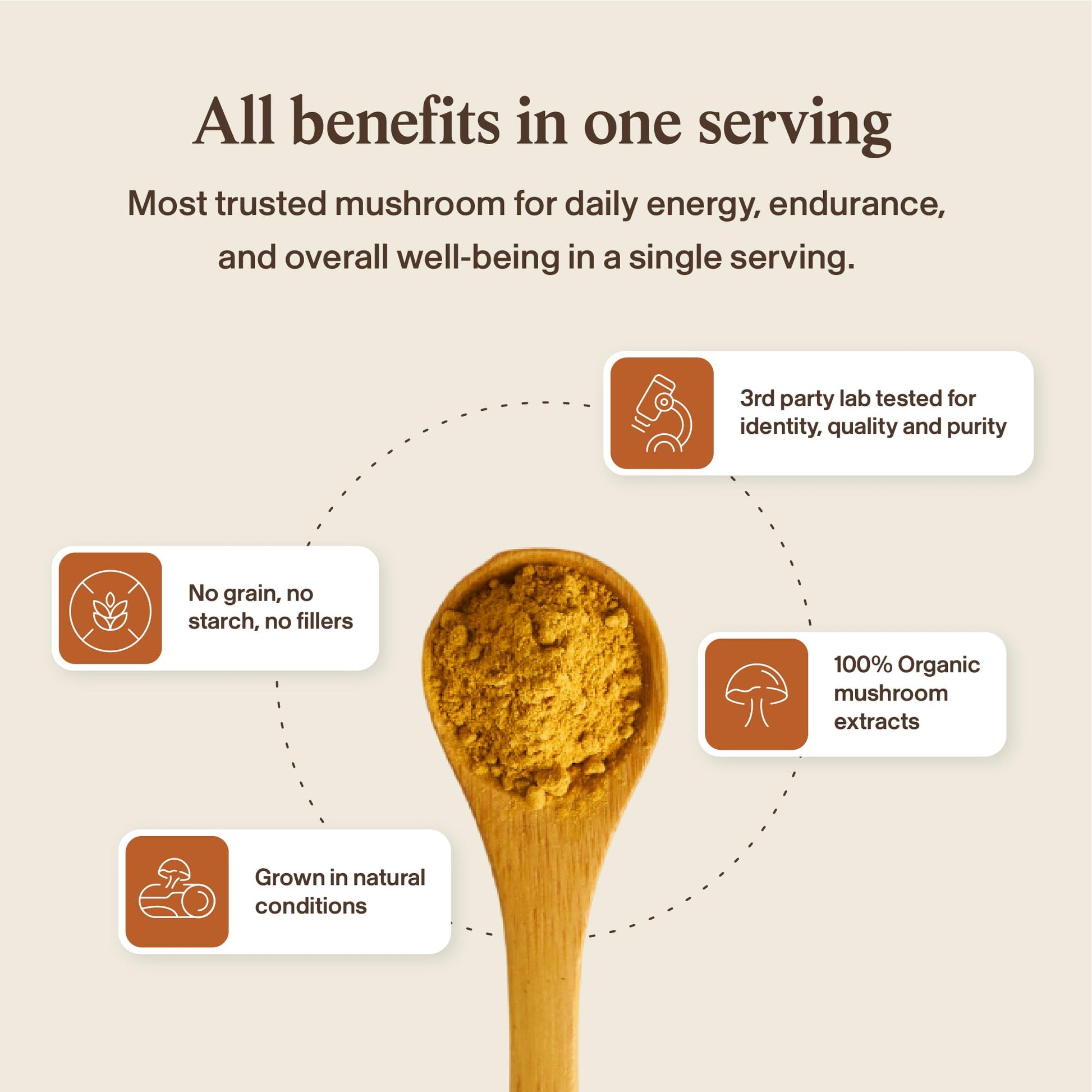 Real Mushrooms Capsules Supplements - Organic Cordyceps Mushroom Powder in Capsules - Energy and Performance Mushrooms with Verified Beta Glucans - Vegan, Non-GMO, 300 Capsules - OzHealthStandard