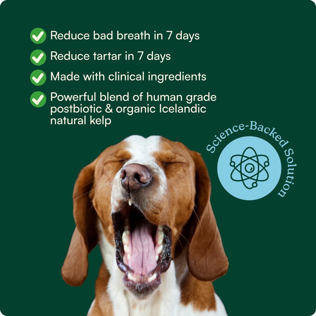 Reggie Dental Powder for Dogs | Reduce Bad Breath in 7 Days, Plaque & Tartar Control | Natural Dog Dental Supplement | Postbiotic Formula with Organic Kelp | Vet-Approved & Made in USA | 60 Servings - OzHealthStandard