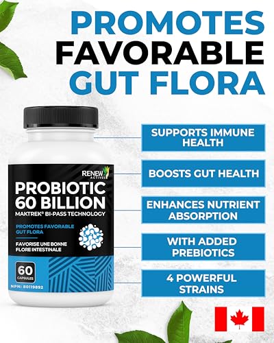 Renew Actives Probiotic Supplement for Digestive Health 60 Billion CFU per 2 Capsules - Advanced Formula with Prebiotic Benefits - Supports Gut Flora Balance & Wellness - Made in Canada - 60 Capsules - OzHealthStandard