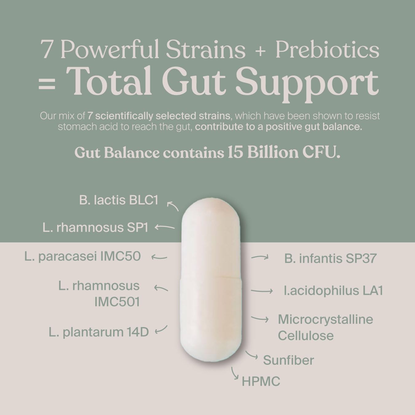 SAVVY Gut Balance Probiotics for Women & Men, 15 Billion CFU, 7 Clinically Studied Strains, Digestive Health, Immune Support, Bloating Relief, 60 Vegan Capsules, Non GMO, Sugar-Free - OzHealthStandard