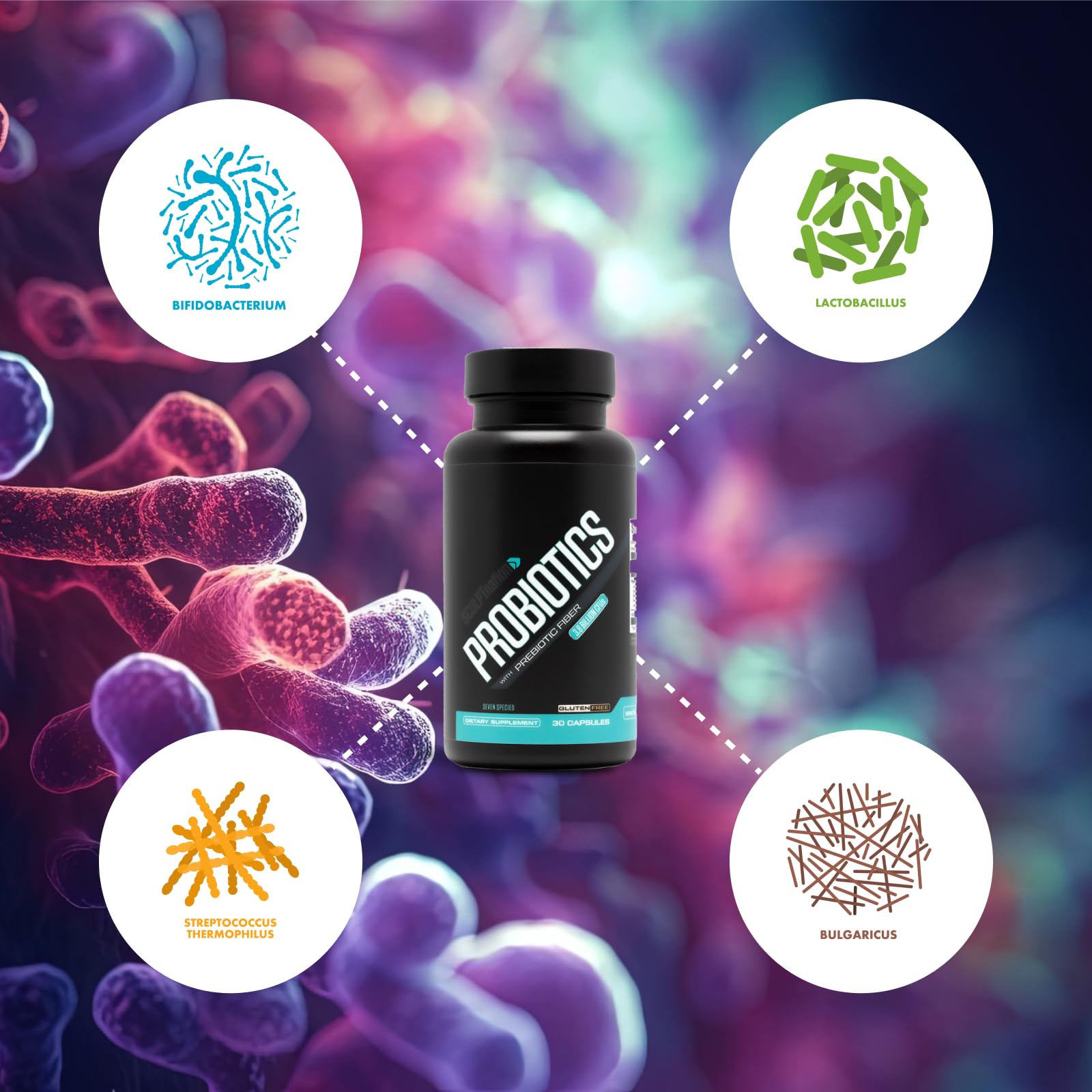 Sculpt Nation by V Shred Premium Probiotics - Digestive & Gut Health Support - Helps with Occasional Constipation, Gas and Bloating - 30-Day Supply - OzHealthStandard