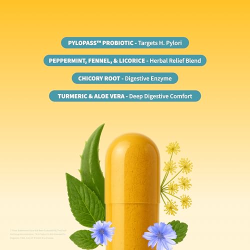 Snap Supplements Gut Health Lipase Supplement with Probiotics for Women & Men, Digestive Enzymes & Prebiotics - Turmeric, Aloe, Pylopass & Zinc, 50 Vegetarian Capsules - OzHealthStandard