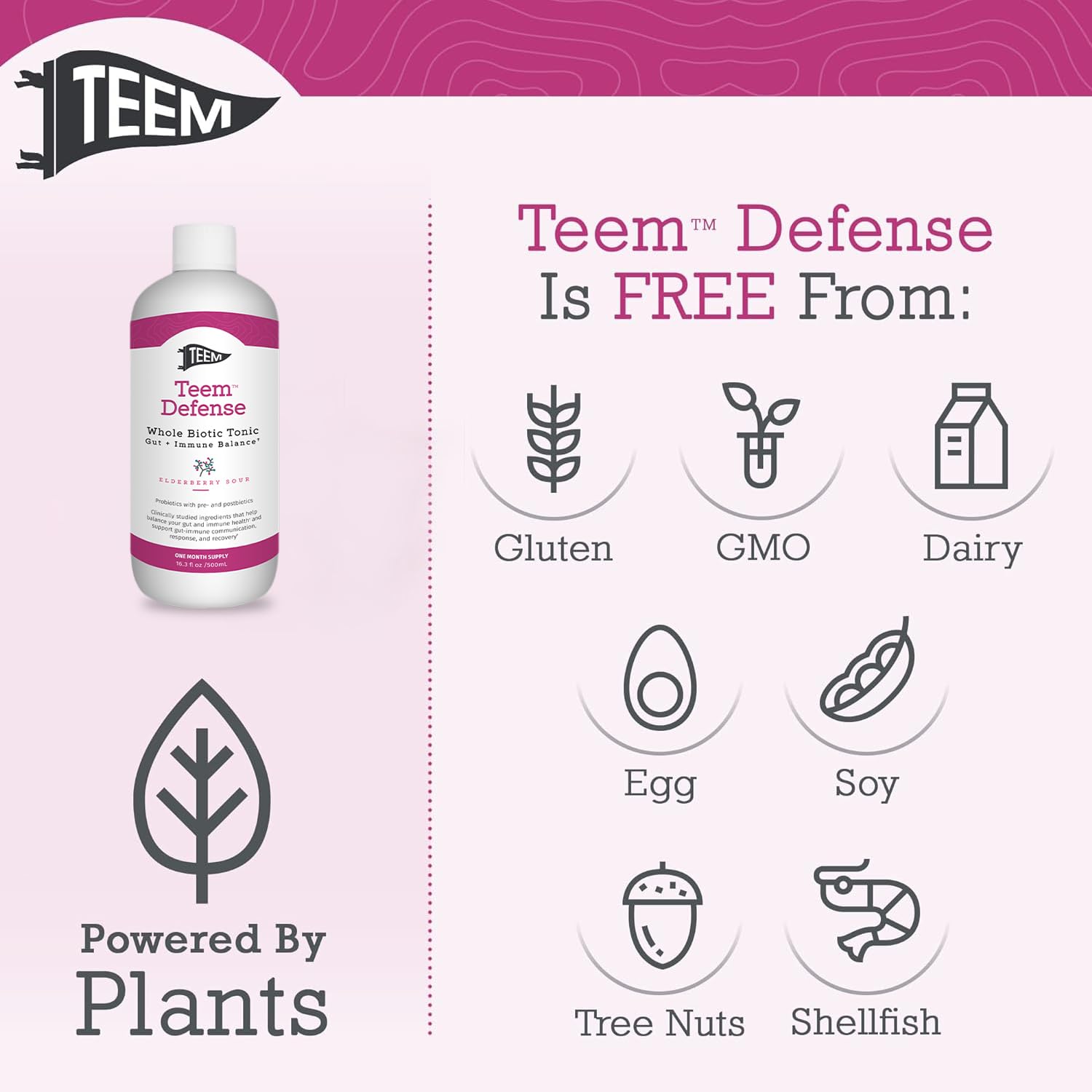 Teem Defense Liquid Probiotic with Elderberry, Whole Biotic Tonic for Digestion & Immunity, Prebiotic Probiotic & Postbiotic Supplement for Kids and Adults, 30 Day Supply – 16.3 Fl.Oz - OzHealthStandard