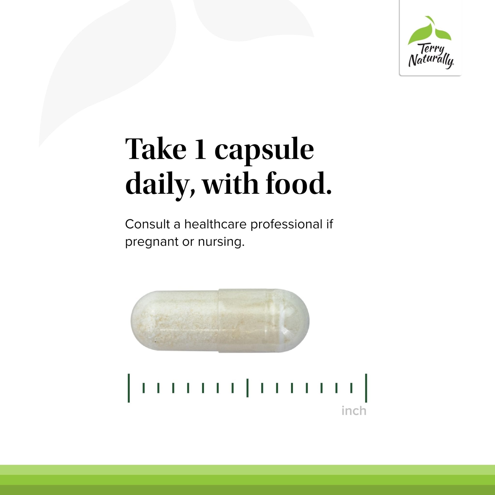 Terry Naturally FloraSure Probiotic - Digestion Supplement to Aid Against Occasional Bloating & Support Gas Relief - Gut Health Support with Bifidobacterium Bifidum - 30 Capsules (Pack of 2) - OzHealthStandard