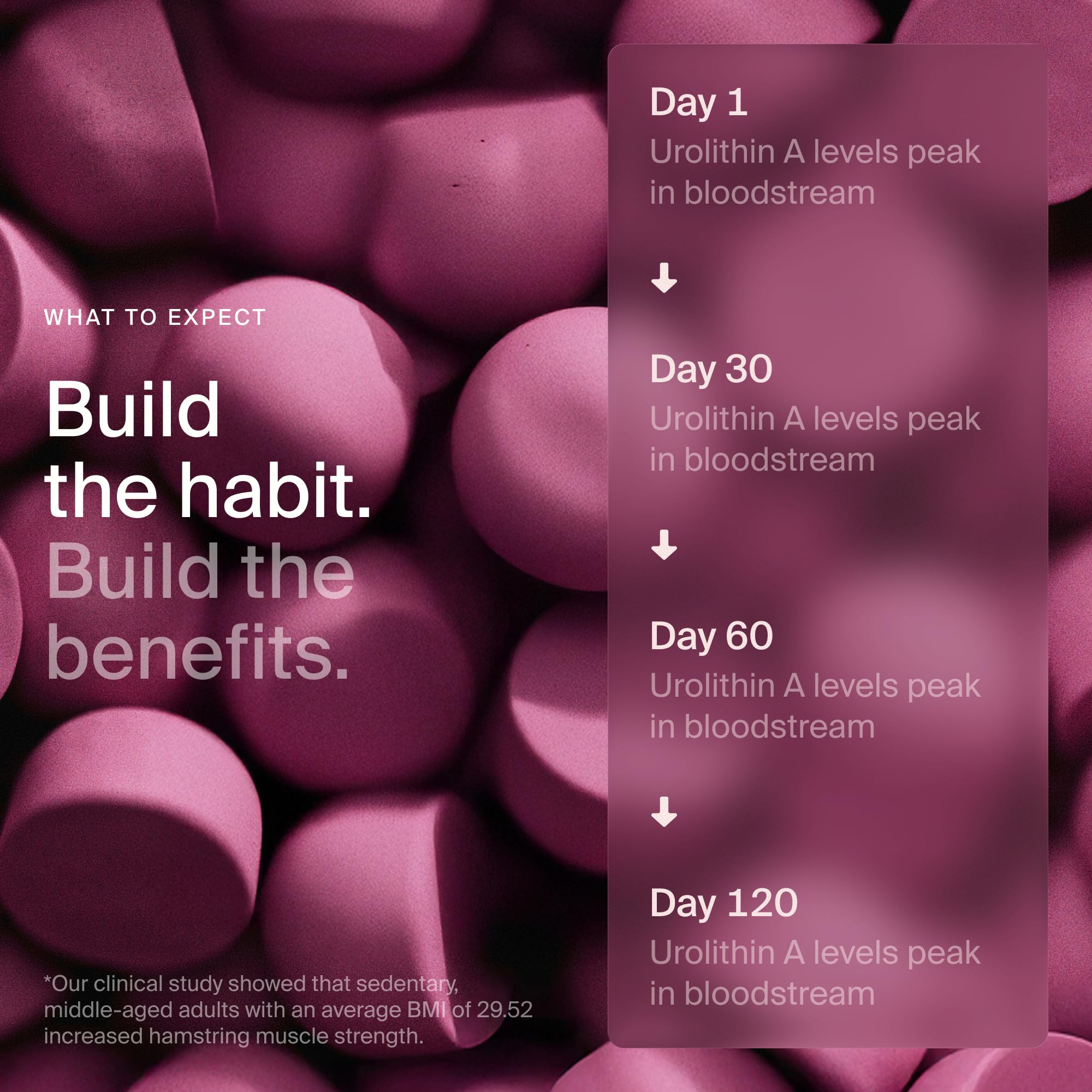 Timeline Mitopure Urolithin A Supplement Gummies - Clinically Proven Support for Healthy Aging Cellular Energy Muscle Strength and Longevity - OzHealthStandard