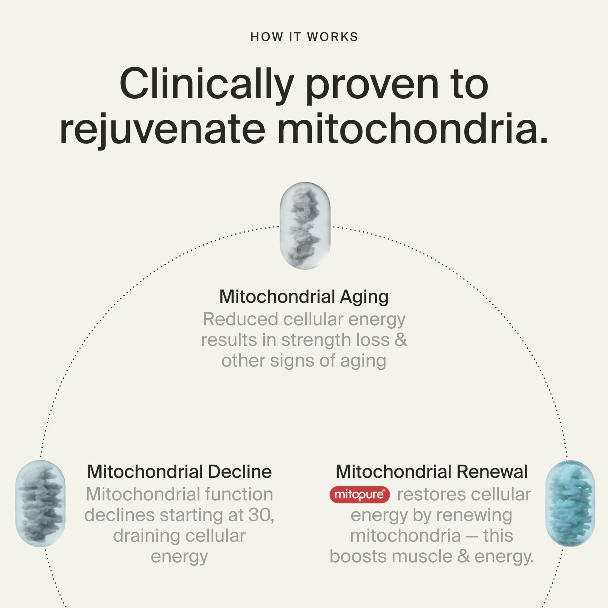 Timeline Mitopure Urolithin A Supplement Gummies - Clinically Proven Support for Healthy Aging Cellular Energy Muscle Strength and Longevity - OzHealthStandard