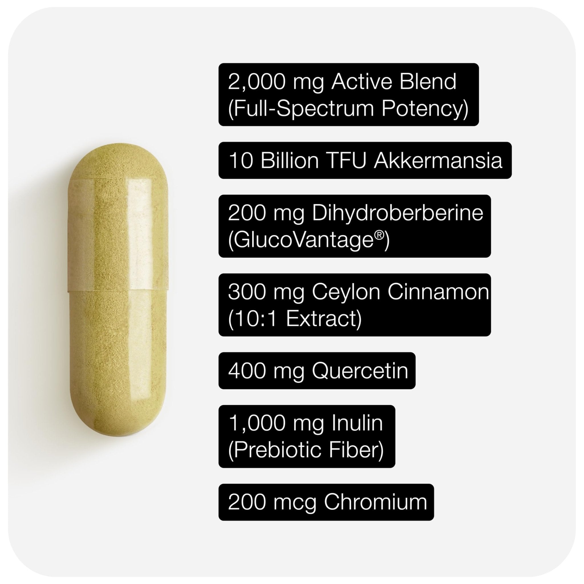 Toniiq GLP-1 Support — with Clinically Studied, Patented GlucoVantage® Dihydroberberine and Akkermansia — Appetite and Fullness Support — 120 Capsules (60-Day Supply) - OzHealthStandard
