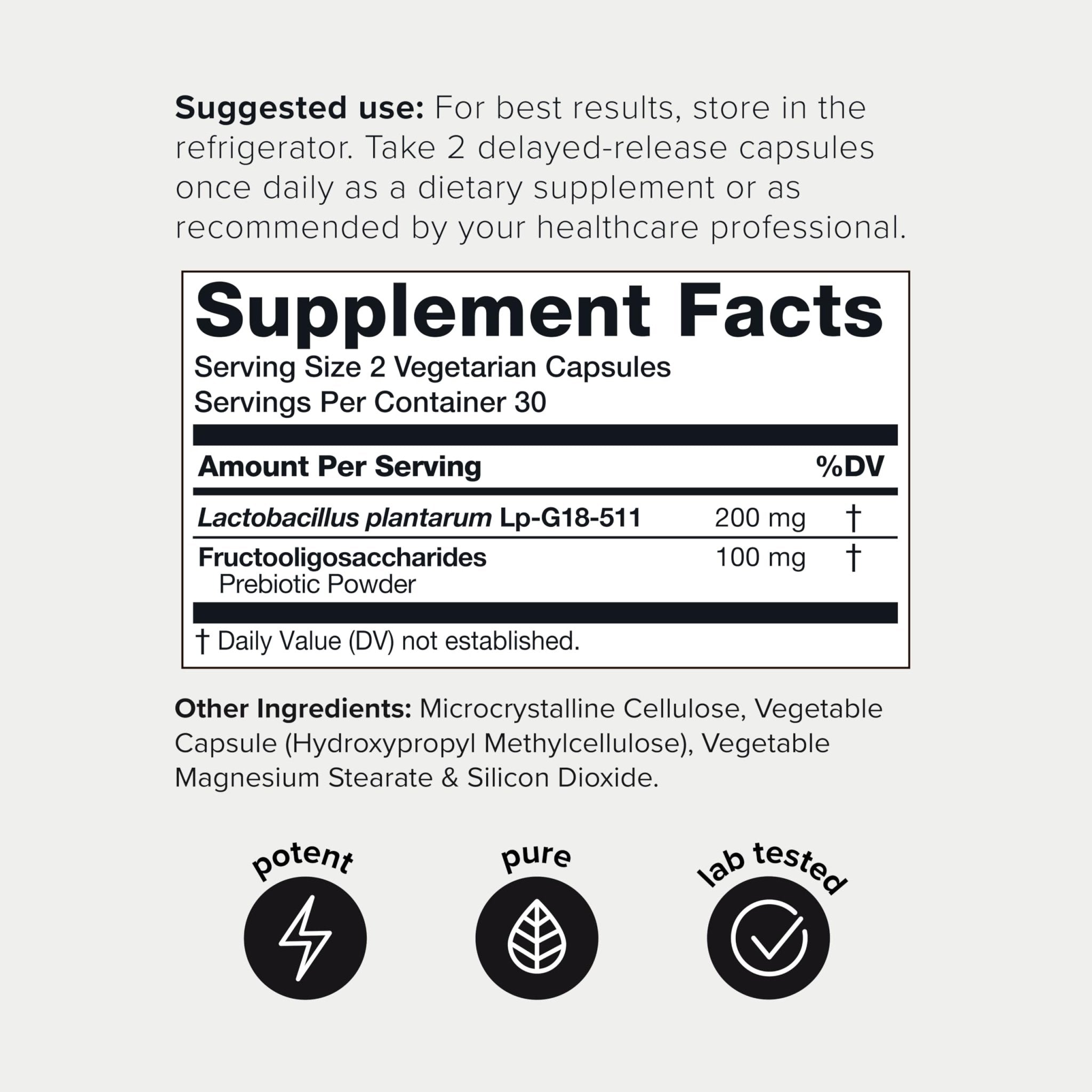 Toniiq Lactobacillus Plantarum – 100 Billion CFU High-Strength Single-Strain Probiotic with FOS – Delayed-Release Veggie Capsules – Third-Party Tested Potency – 60 Capsules - OzHealthStandard