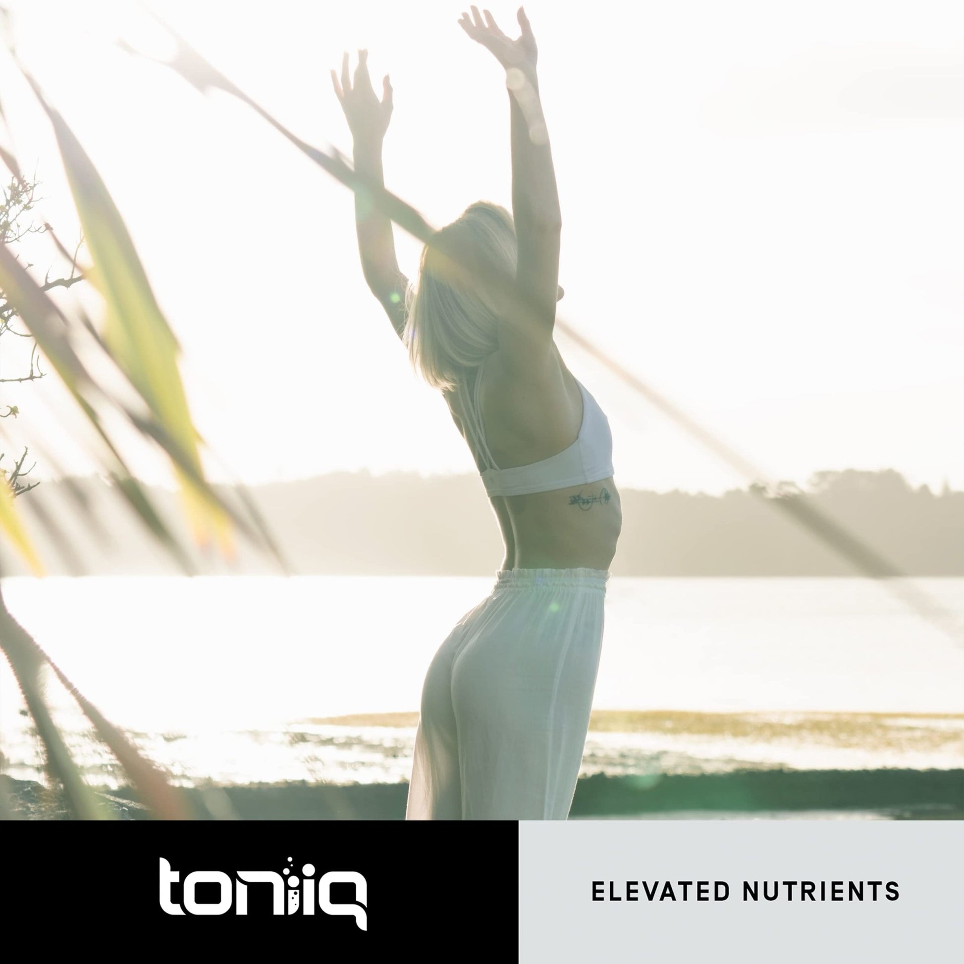 Toniiq Ultra High Purity Fisetin 500mg - 98%+ Higly Purified & Bioavailable Fisetin Supplement with MCT Oil for Absorption - Third-Party Tested Senolytic Supplements for Aging Support - 60 Capsules - OzHealthStandard