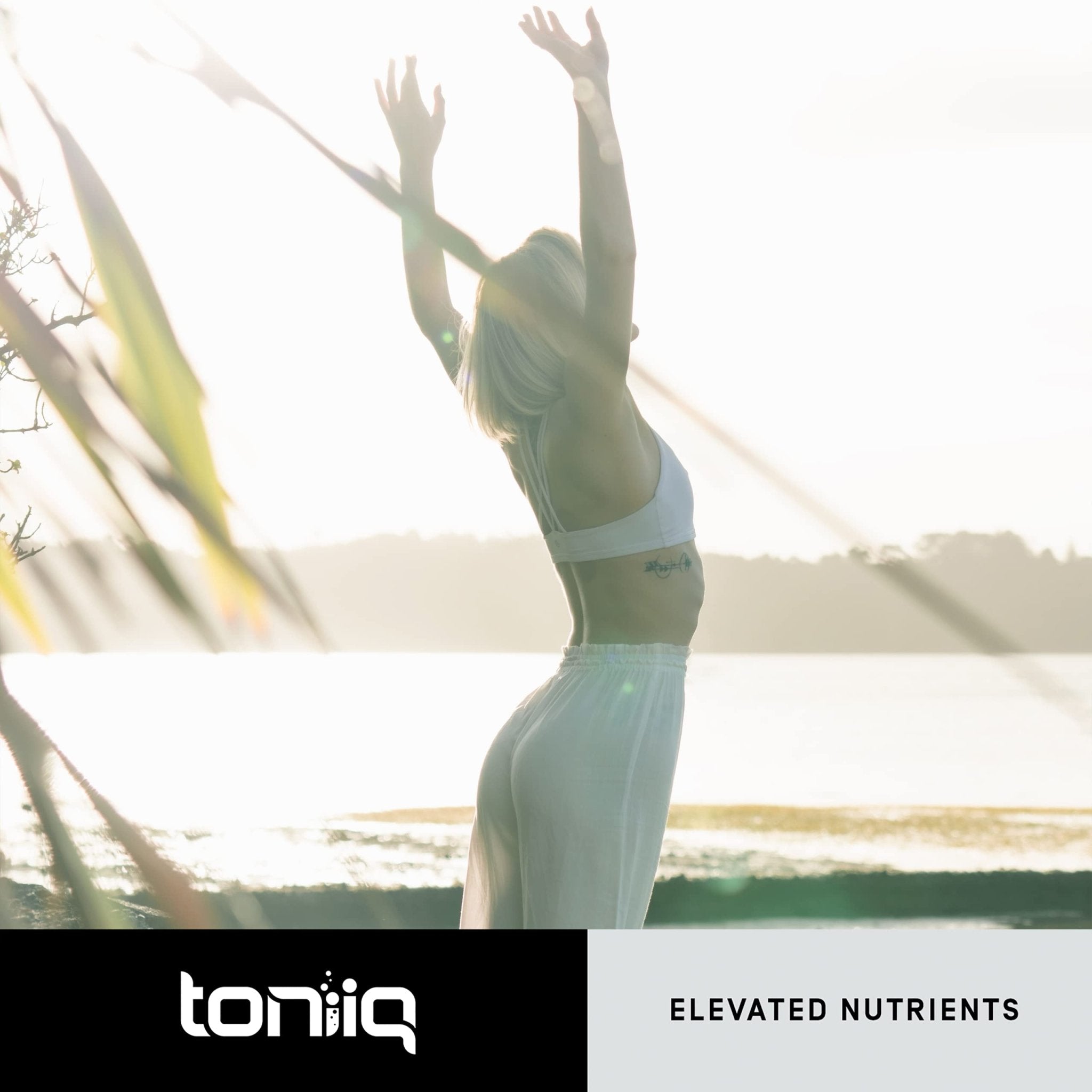 Toniiq Ultra High Purity Fisetin 500mg - 98%+ Higly Purified & Bioavailable Fisetin Supplement with MCT Oil for Absorption - Third-Party Tested Senolytic Supplements for Aging Support - 60 Capsules - OzHealthStandard