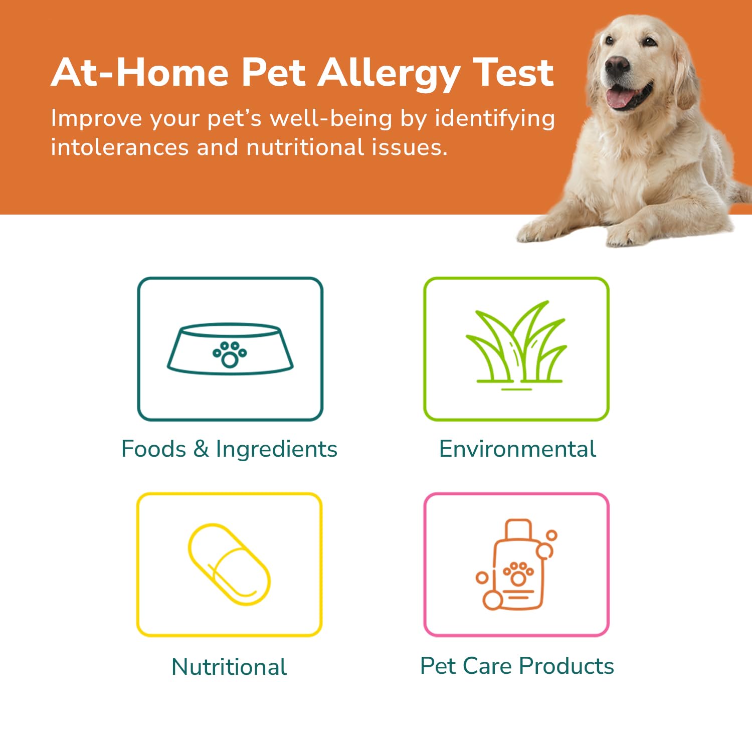 TotalVet Dog Allergy +1000 Food & Nutritional Sensitivity Test, Pet Intolerance Kit at Home — Advanced Complement to DNA Tests for Complete Pet Wellness - OzHealthStandard