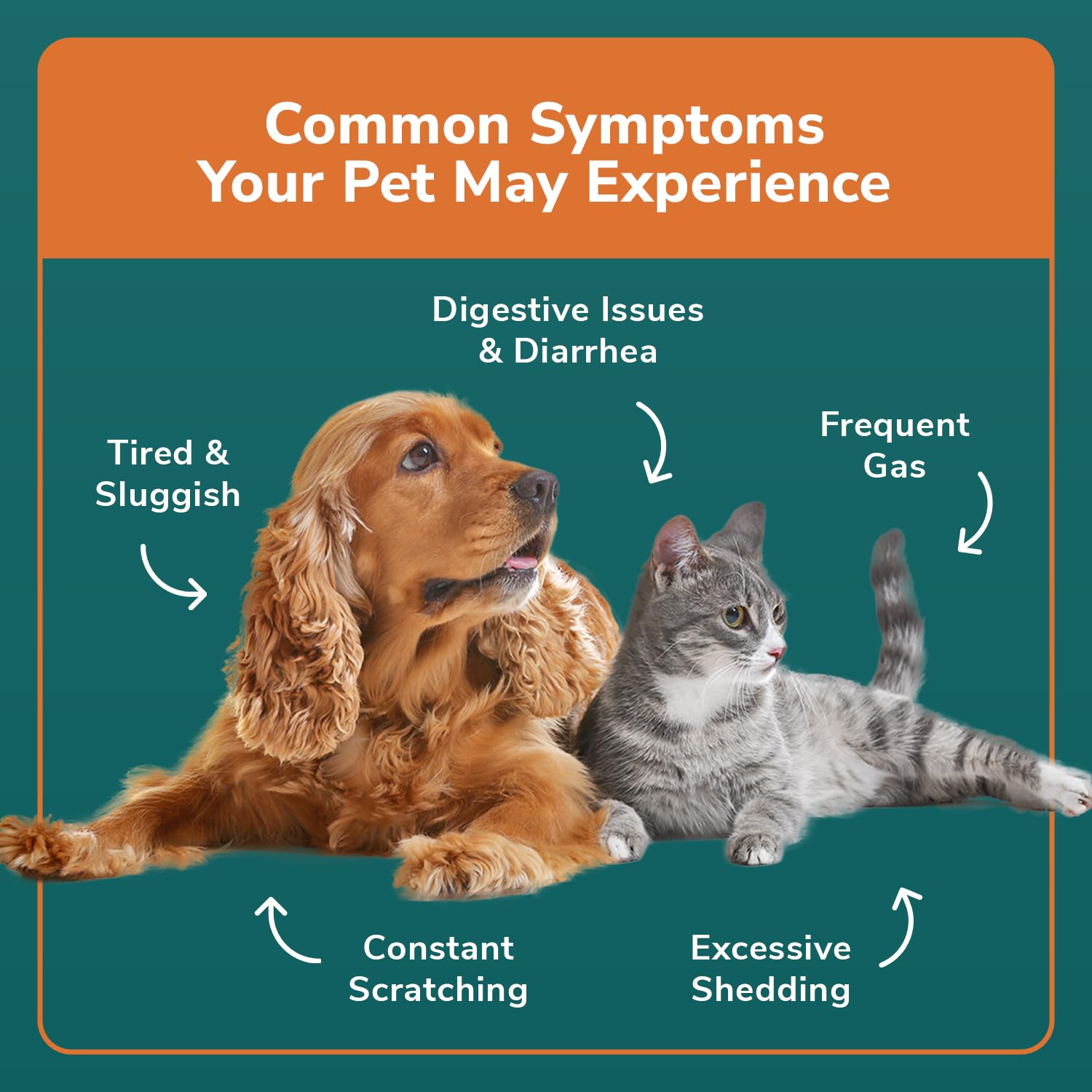 TotalVet Dog Allergy +1000 Food & Nutritional Sensitivity Test, Pet Intolerance Kit at Home — Advanced Complement to DNA Tests for Complete Pet Wellness - OzHealthStandard