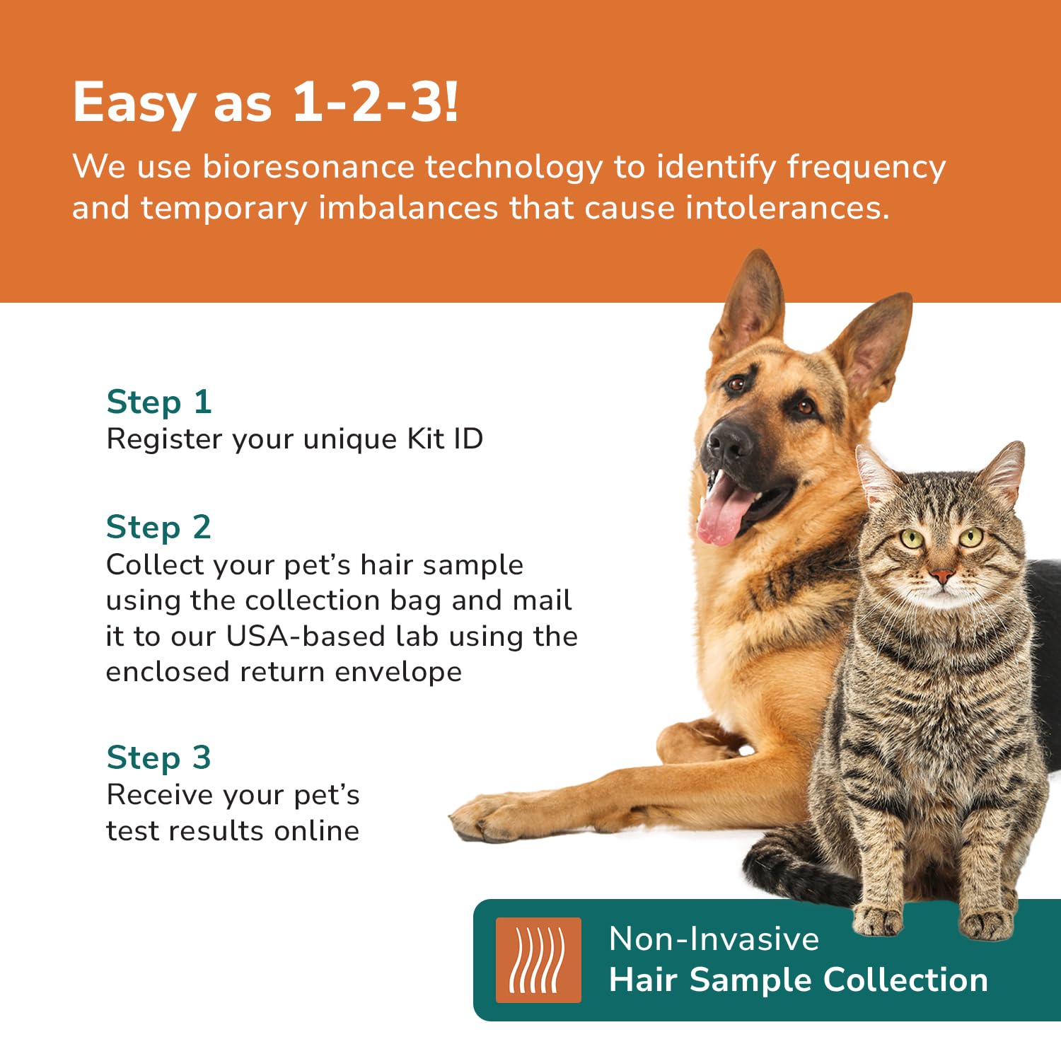 TotalVet Dog Allergy +1000 Food & Nutritional Sensitivity Test, Pet Intolerance Kit at Home — Advanced Complement to DNA Tests for Complete Pet Wellness - OzHealthStandard