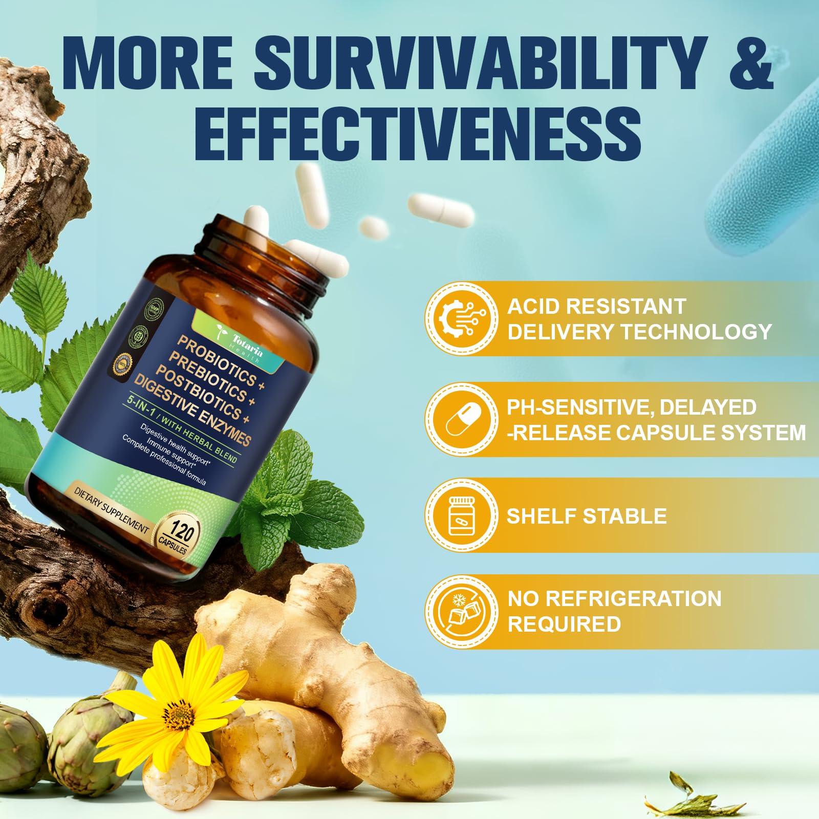 Totaria (2 Packs) 5-in-1 Probiotic Prebiotic & Postbiotic for Women Men, 60 Billion CFU 24 Strains w/Digestive Enzymes, Slippery Elm, Daily Complete Gut Health, Digestive & Immune Support - OzHealthStandard