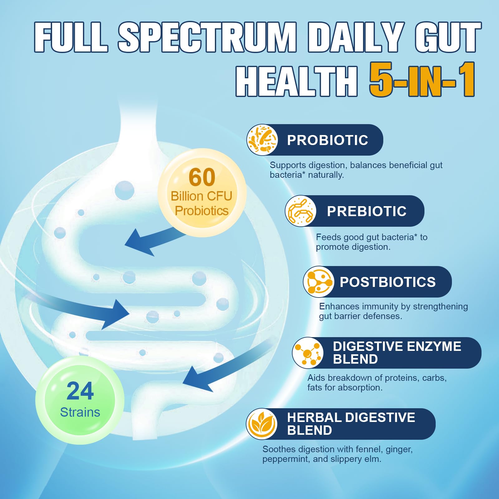 Totaria 5-in-1 Probiotic Prebiotic & Postbiotic for Women Men, 60 Billion CFU 24 Strains w/Digestive Enzymes, Prebiotic Fiber, Slippery Elm - OzHealthStandard