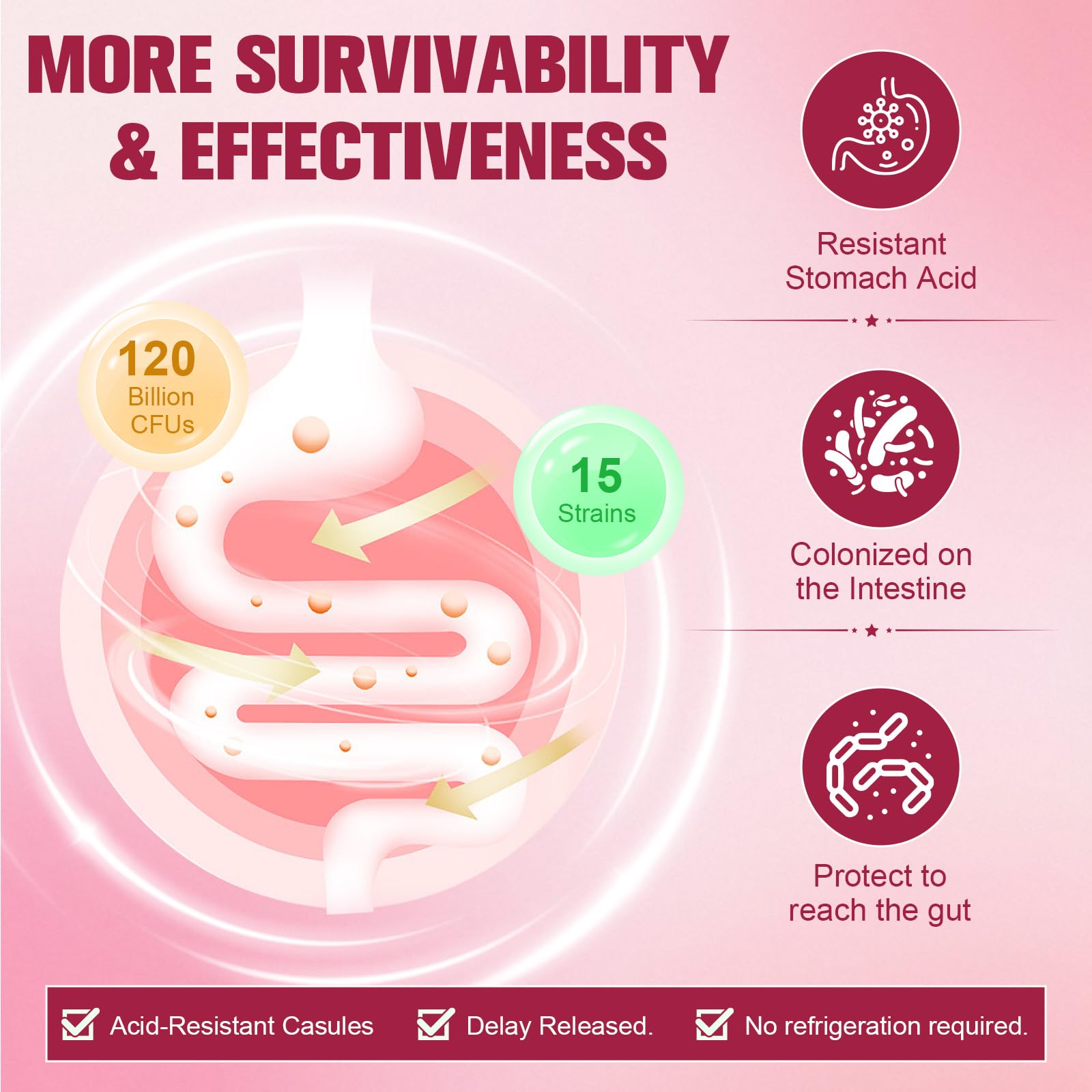 Totaria Probiotics for Women, 120 Billion Women Probiotic, with Akkermansia, Digestive Enzymes & Prebiotics, Cranberry, D-Mannose, for Gut, Vaginal, Urinary - OzHealthStandard