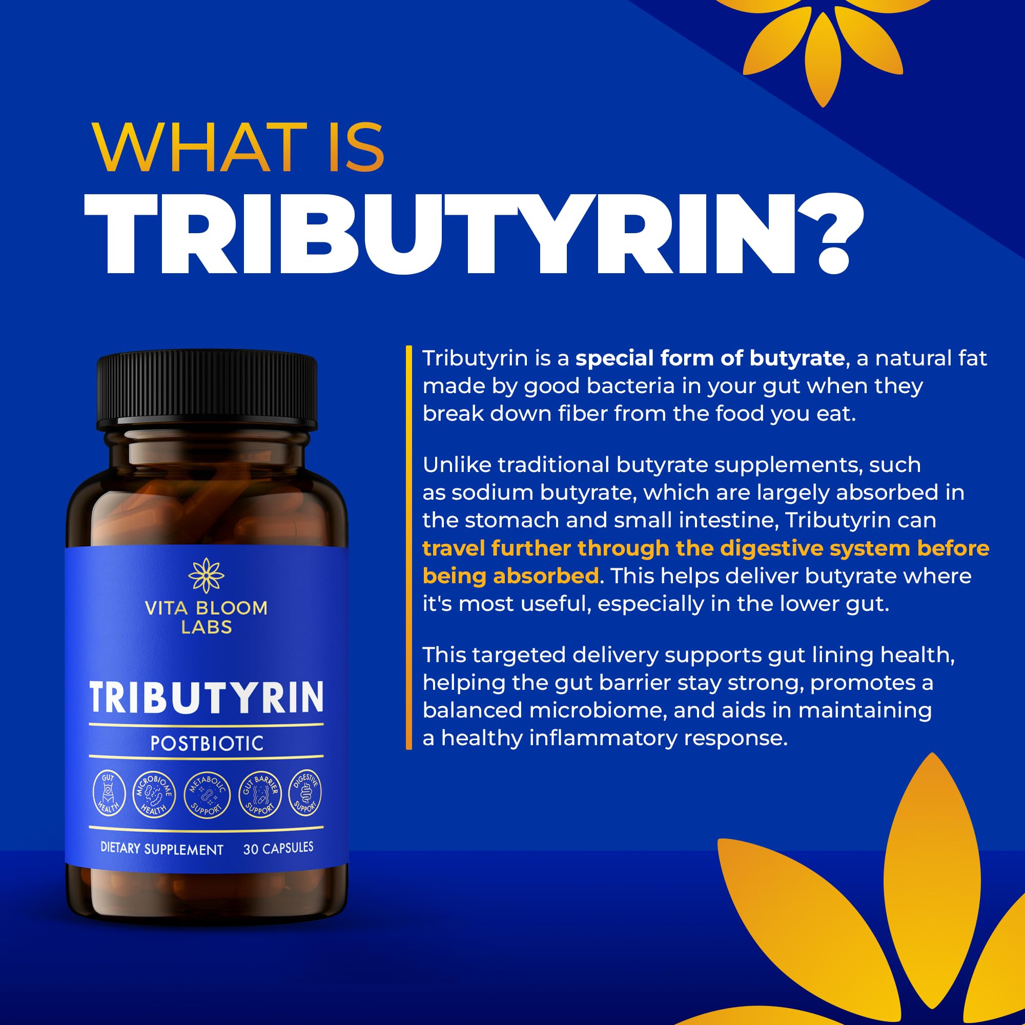 Tributyrin Supplement - Better Delivery & More Effective than Sodium Butyrate - Gut Health & Digestive Support - 3-in-1 Butyrate Postbiotics for Leaky Gut & Gut Barrier Support - 30 Capsules - OzHealthStandard