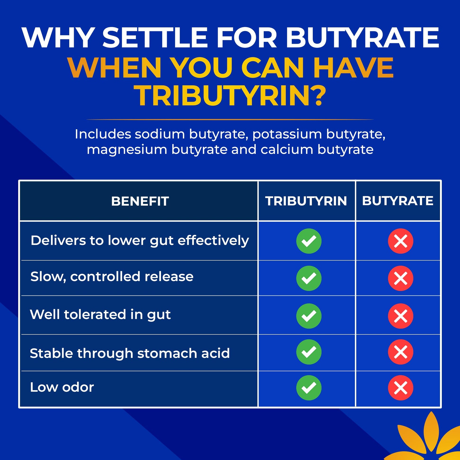 Tributyrin Supplement - Better Delivery & More Effective than Sodium Butyrate - Gut Health & Digestive Support - 3-in-1 Butyrate Postbiotics for Leaky Gut & Gut Barrier Support - 30 Capsules - OzHealthStandard
