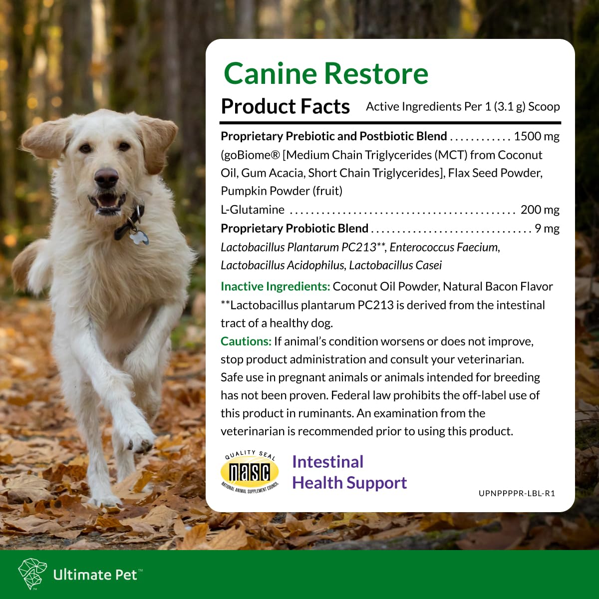 Ultimate Pet Nutrition Canine Restore, Gut Health Supplement with Prebiotics, Probiotics, & Postbiotics for Digestive Health & Immunity Support, Vet Formulated Powder Food Topper - OzHealthStandard