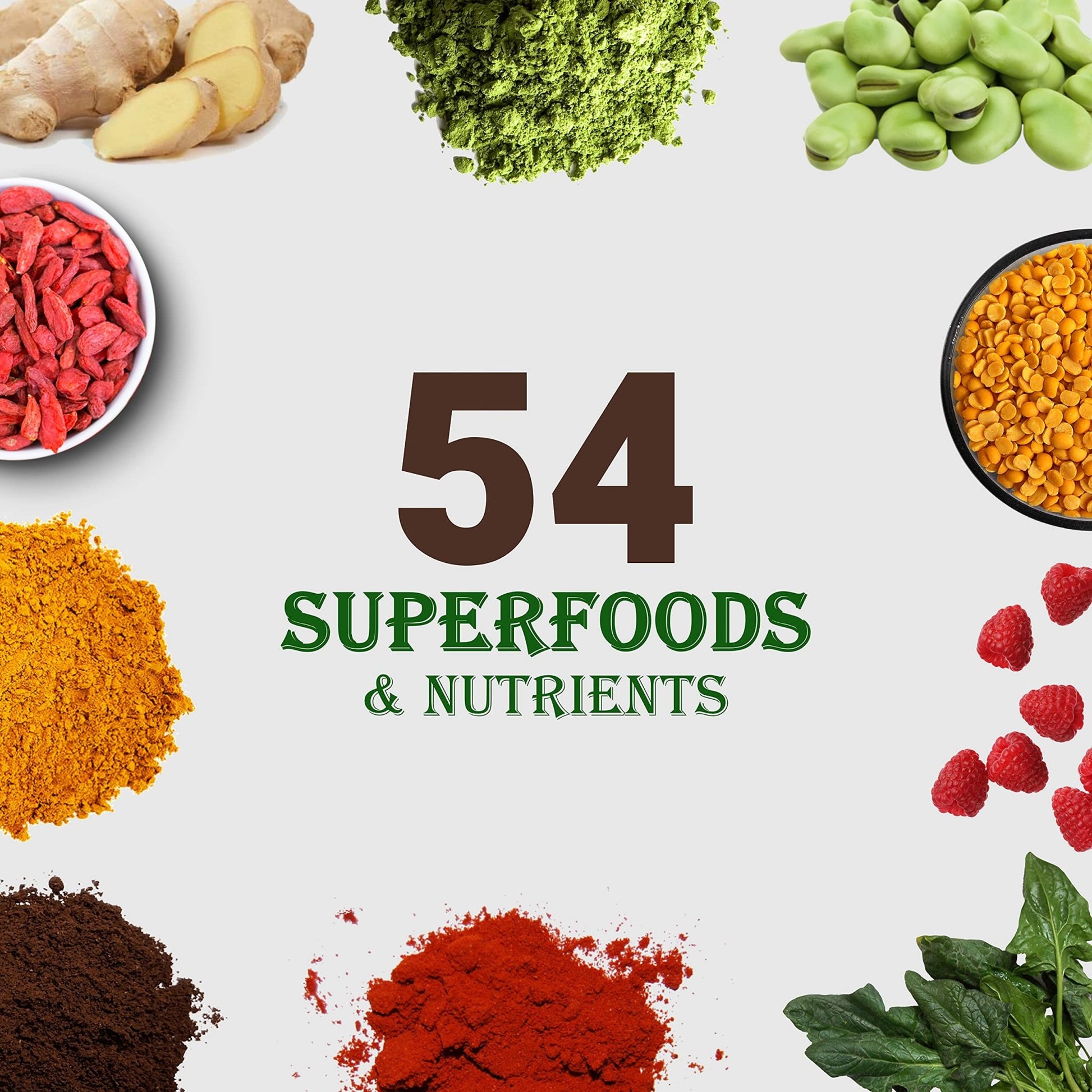 UpNourish Chocolate Vegan Protein Powder 54 Superfoods Powder,1.5 Billion CFU Probiotics 21g Plant Based Protein,No Sugar No Dairy No GMO Dairy Free,Meal Replacement Shake Keto-Friendly Low-Carb Diet,15 Servings - OzHealthStandard