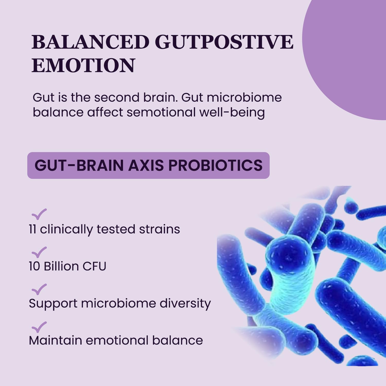 UpNourish Organic Ashwagandha Saffron Supplements with Probiotics - Stress Relief, Mood Enhancer, Calm Happy Pills Support Fatigue Focus Clarity with L-Theanine, Rhodiola, 30 Vegan Capsules - OzHealthStandard