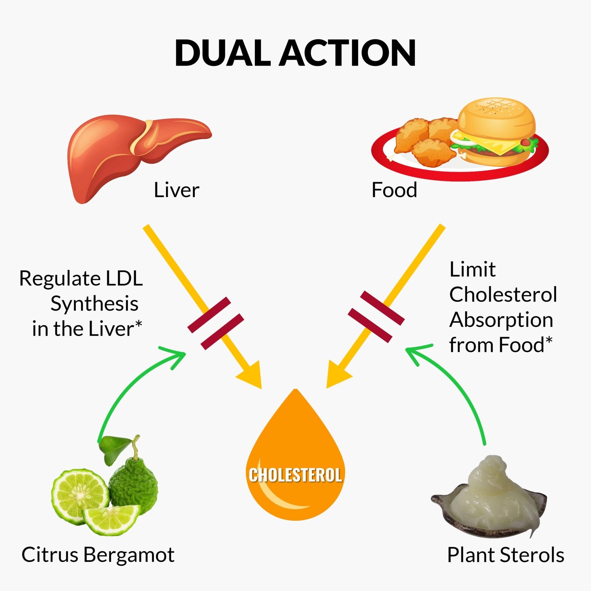 UpNourish Plant Sterols Citrus Bergamot Supplement for High Cholesterol with CoQ10, Omega 3, Olive Leaf, Turmeric Curcumin, Black Garlic and Niacin - 120 Softgels - OzHealthStandard