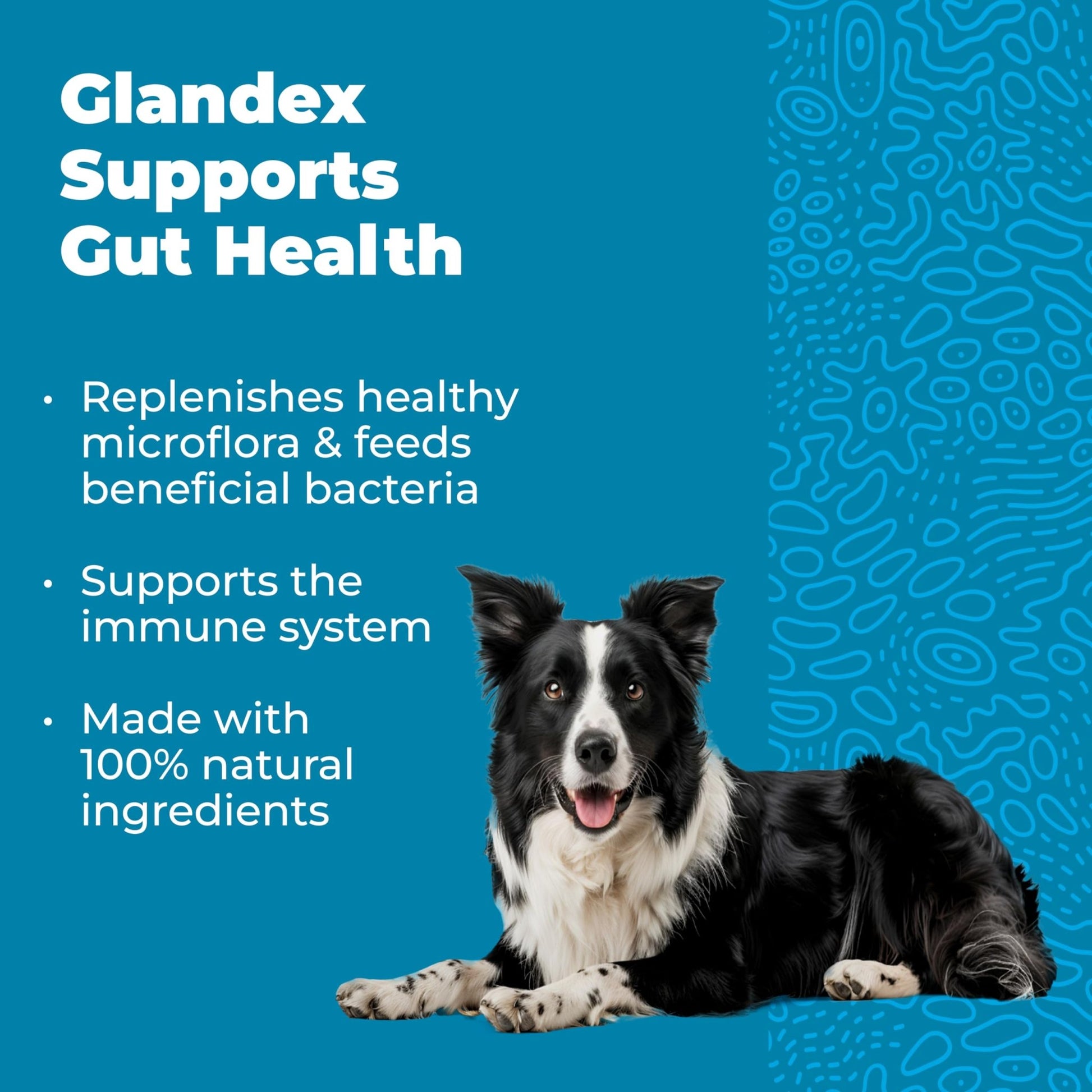 Vetnique Glandex Daily Probiotics for Dogs with Prebiotics to Support Gut Health with Fiber and Digestive Enzymes, Dog Probiotic Chews or Powders (30ct Chews, Bacon Chews) - OzHealthStandard