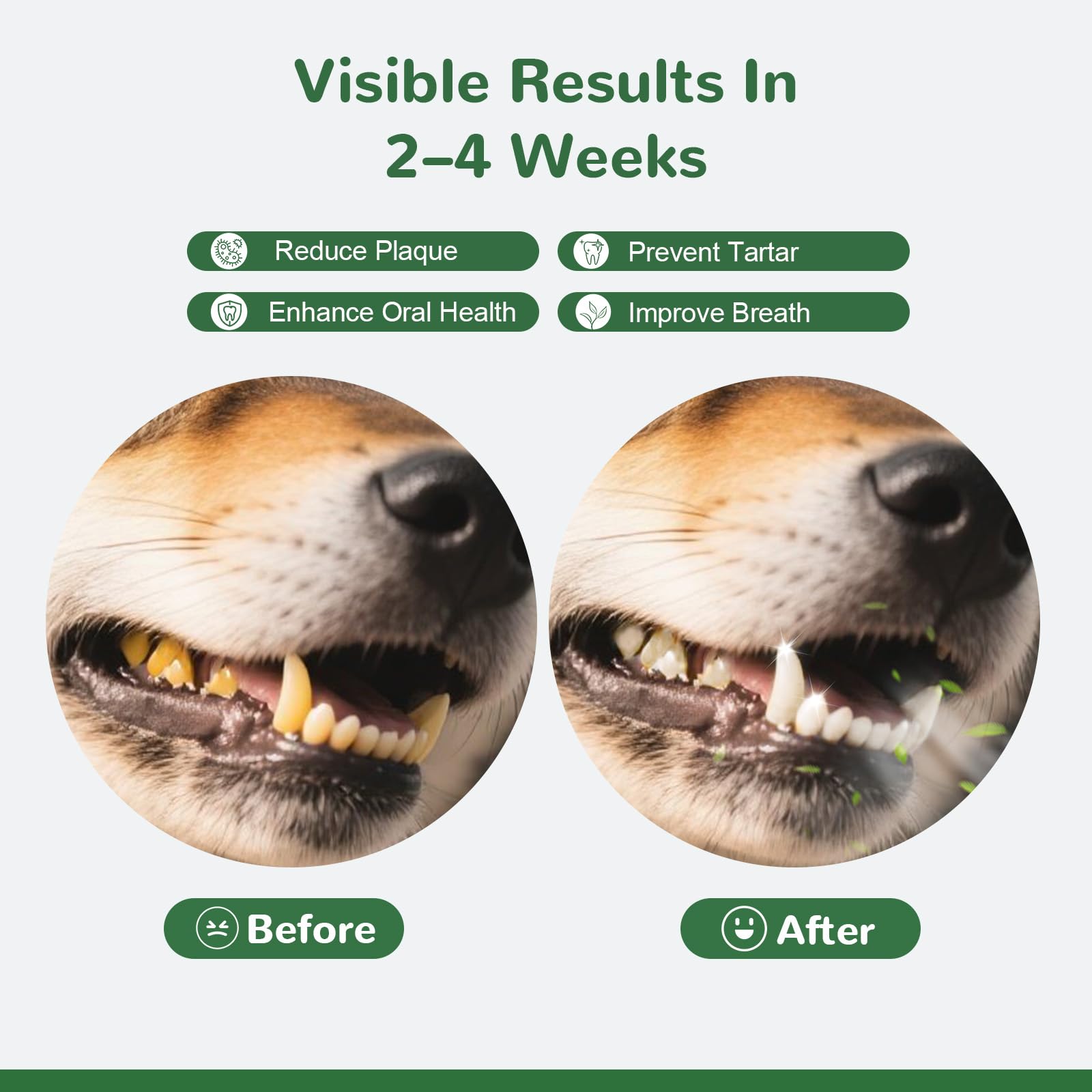Vetriuntrix Dog Teeth Cleaning Powder, Dental Powder for Dogs Teeth Tartar Remove & Plaque Off, Fresh Breath for Dogs with Natural Plants Blend, Enzymes and Postbiotics, 80g - OzHealthStandard