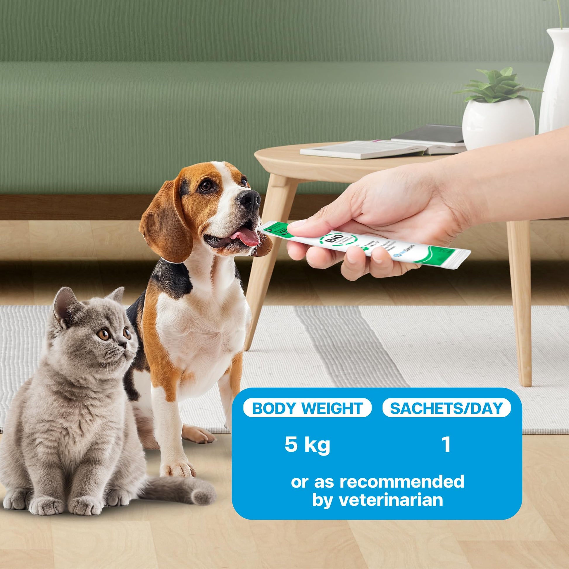 VFcare BIO Supplement for Cats & Dogs – Anti Diarrhea for Dogs, Gut Health Paste with Postbiotics, Prebiotics, FOS, L-137, Yeast Extract – Anti Diarrhea for Dogs, 30 Sachets - OzHealthStandard