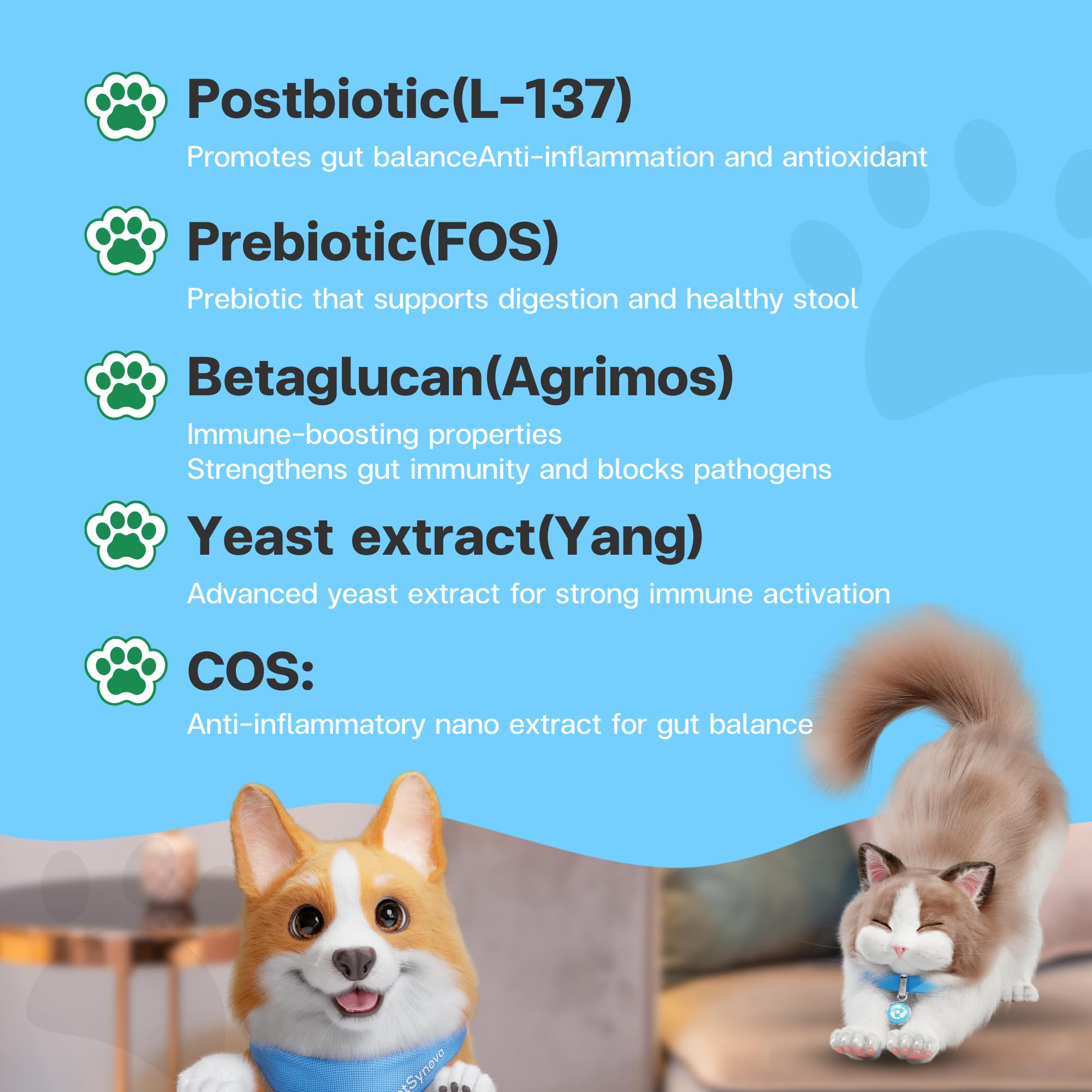 VFcare BIO Supplement for Cats & Dogs – Anti Diarrhea for Dogs, Gut Health Paste with Postbiotics, Prebiotics, FOS, L-137, Yeast Extract – Anti Diarrhea for Dogs, 30 Sachets - OzHealthStandard