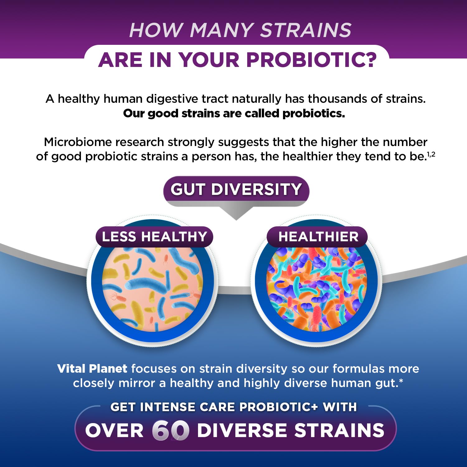 Vital Planet - Intense Care Brain & Mood Probiotics, Organic Prebiotics, Postbiotics, Parabiotics, Complete 4-in-1 Health Supplement for Adults, 65 Billion CFU, 67 Strains, Digestive and Immune 30 ct - OzHealthStandard